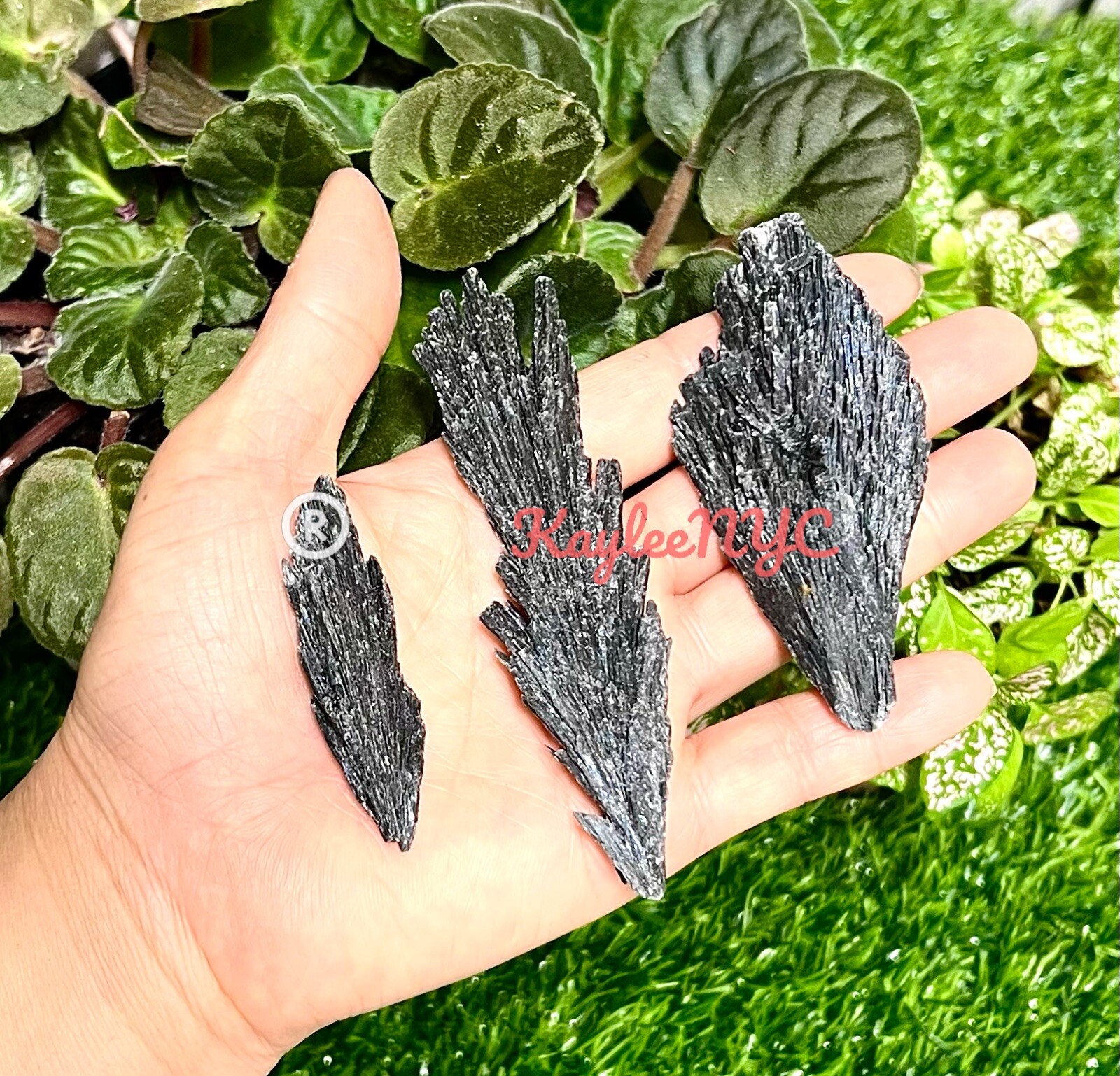 Wholesale Lot 1 Lb Natural Black Kyanite Raw Crystal Healing Energy