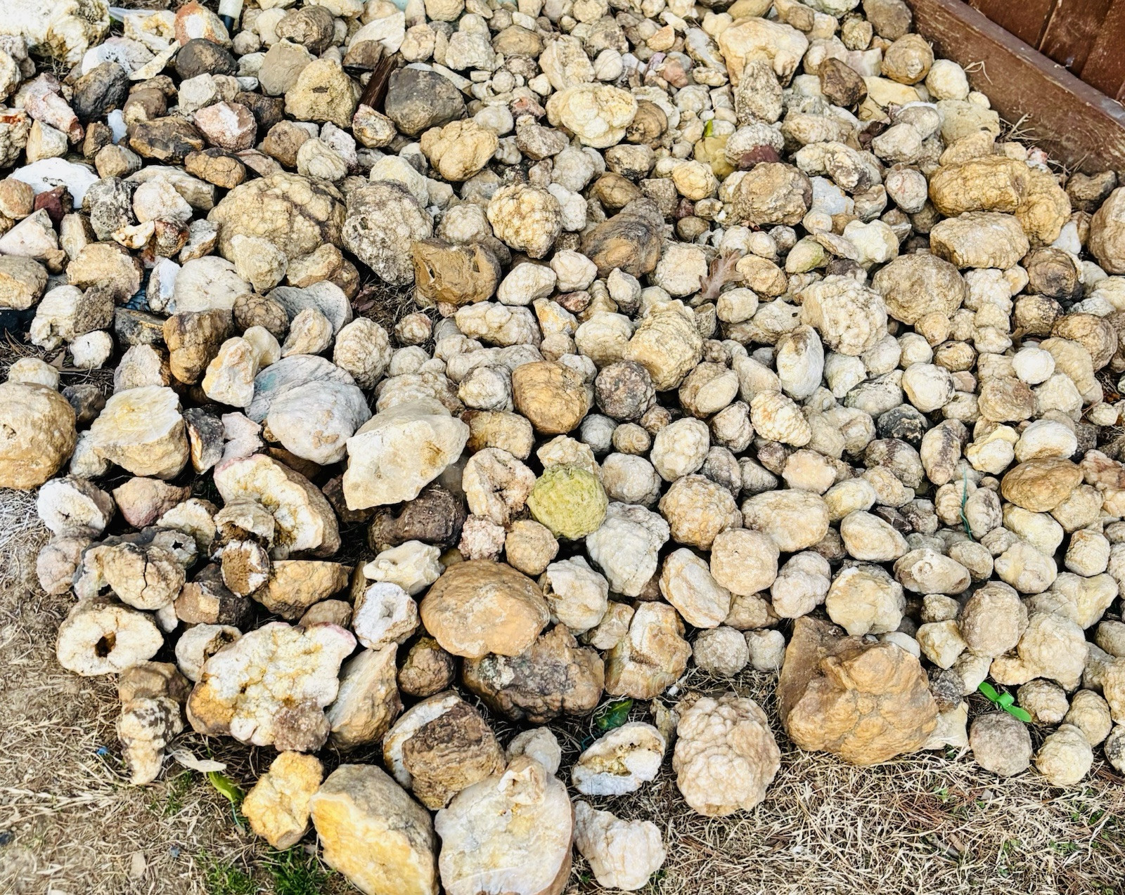 Kentucky Geodes Unopened 10lb lot + Bonus Surprise