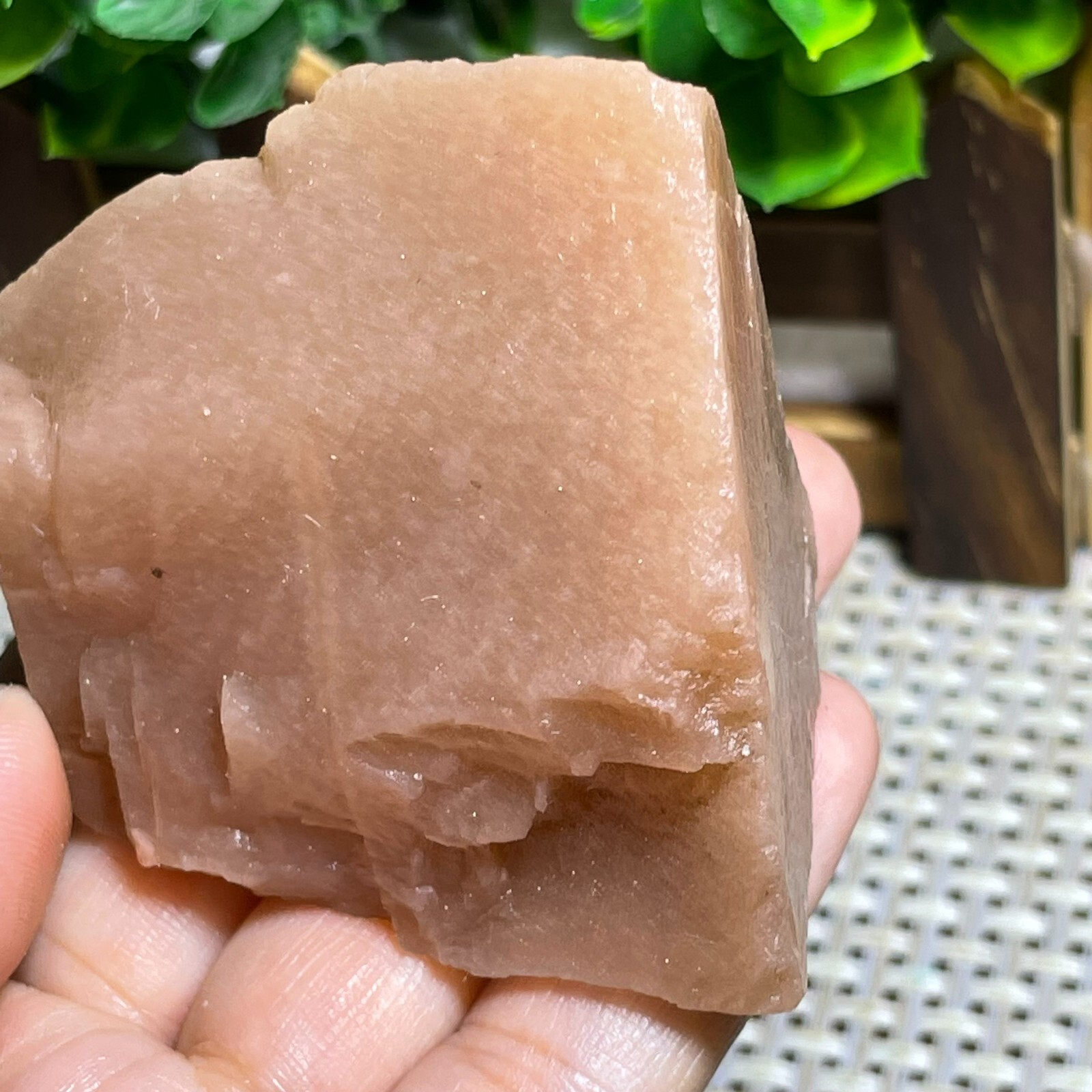 TOP ULTRA RARE NATURAL GOLDEN SUN STONE STAR RAW ROUGH CRYSTAL GEMSTONE 143g A52