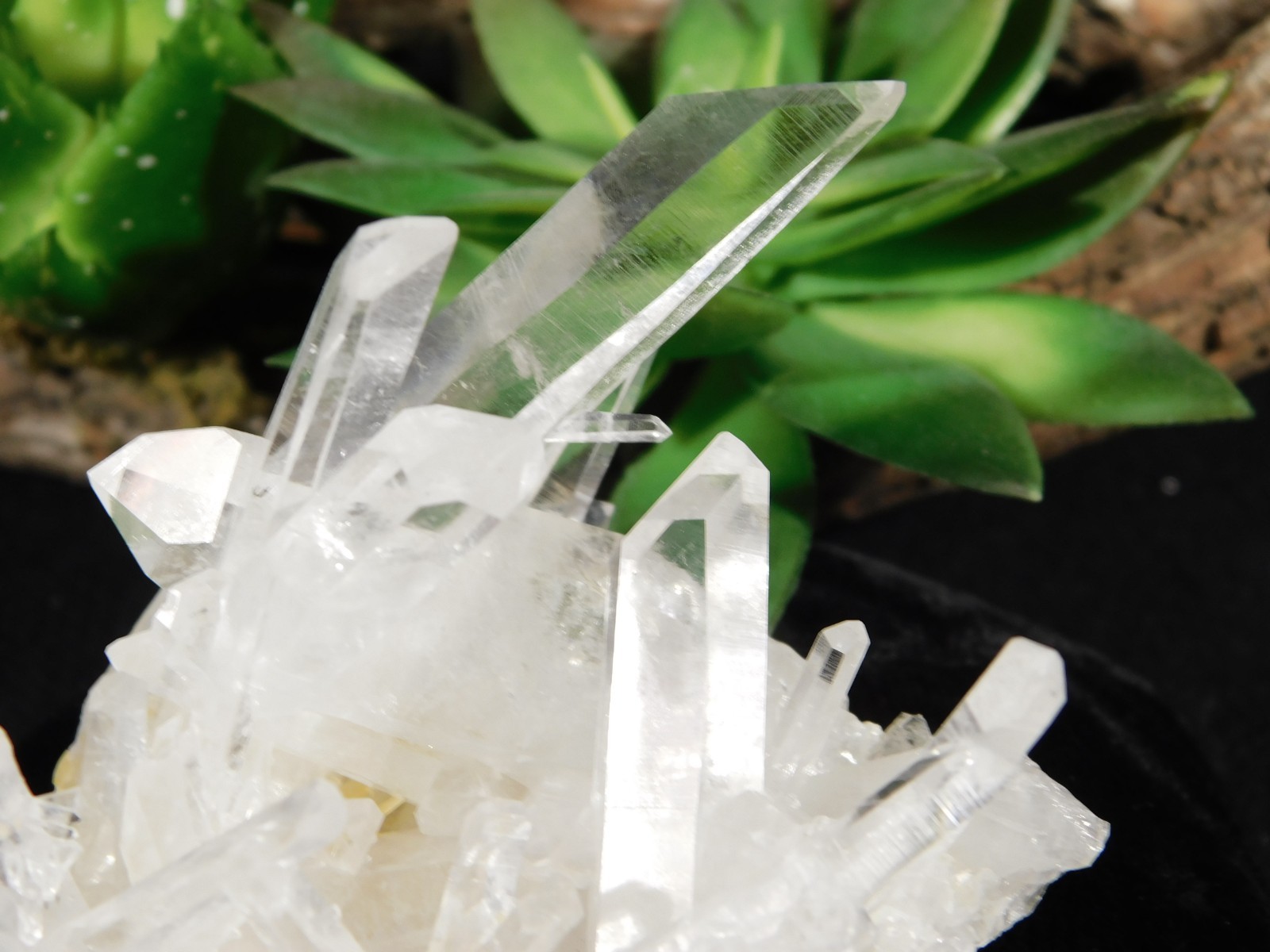 SUPER! TRANSLUCENT Quartz Crystal Cluster Collier Creek ARKANSAS 130gr