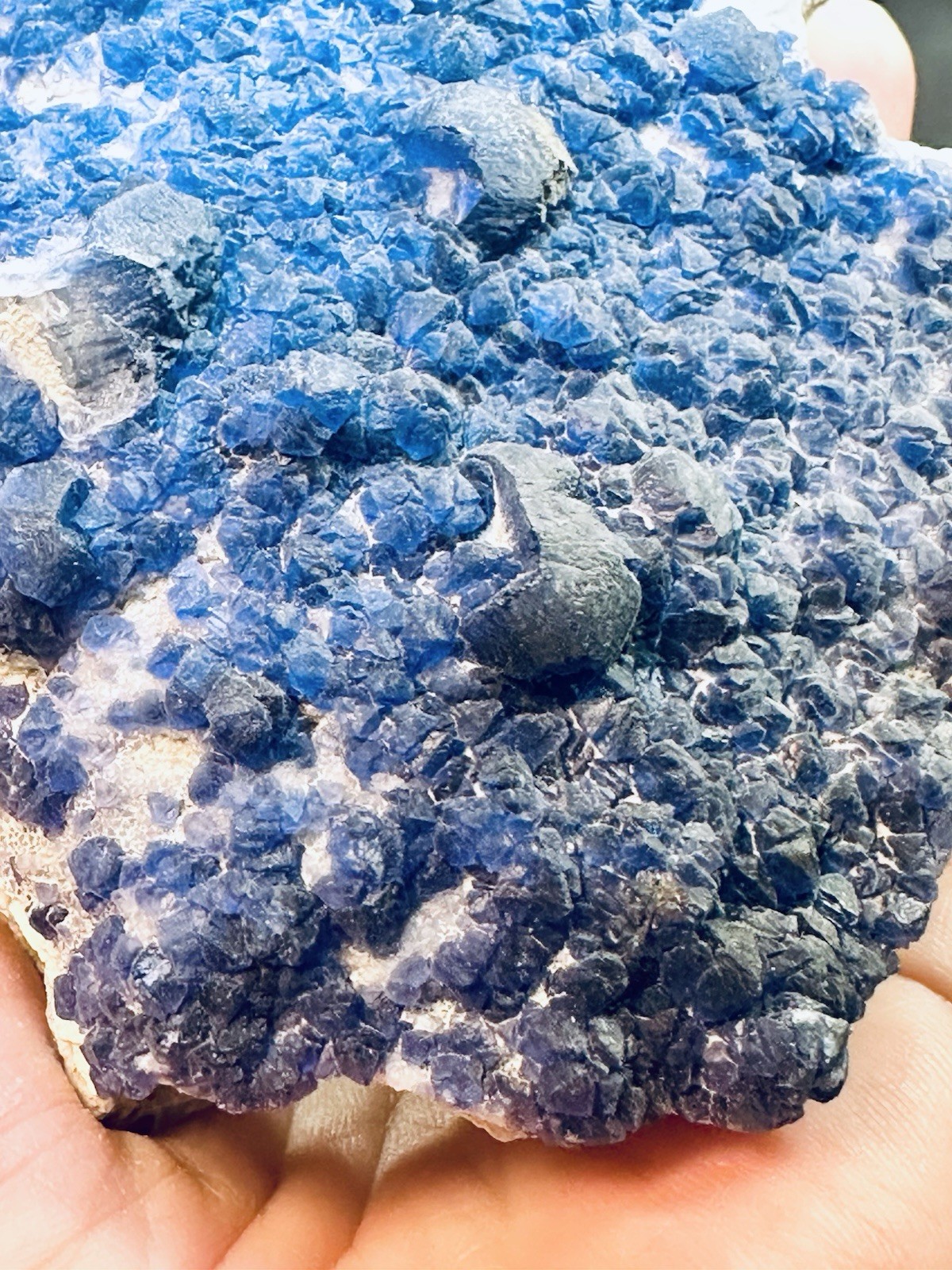 Large Blueberry Fluorite Crystal Cluster Specimen 6″ Natural Blue Purple Mineral