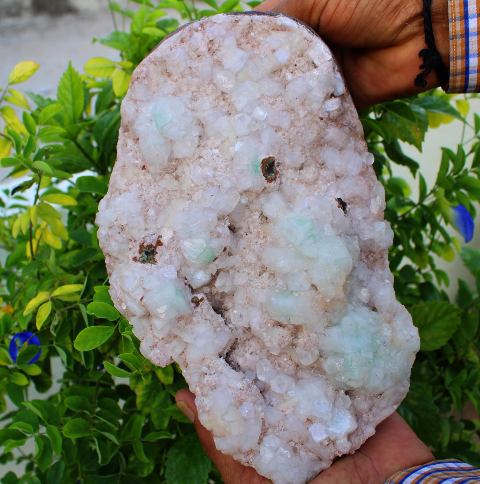 Green Apophyllite Crystals Format On Heulandite Matrix Minerals Specimen