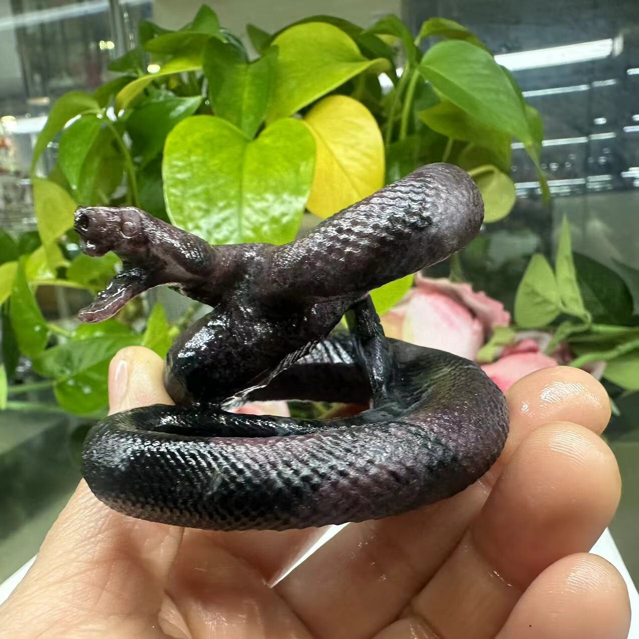 1pc Natural garnet crystal hand carved snake Quartz reiki healing decor gift