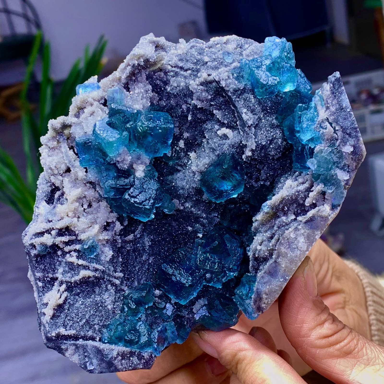 1.36LB Natural transparent purple cubic fluorite mineral sample Inner Mongolia