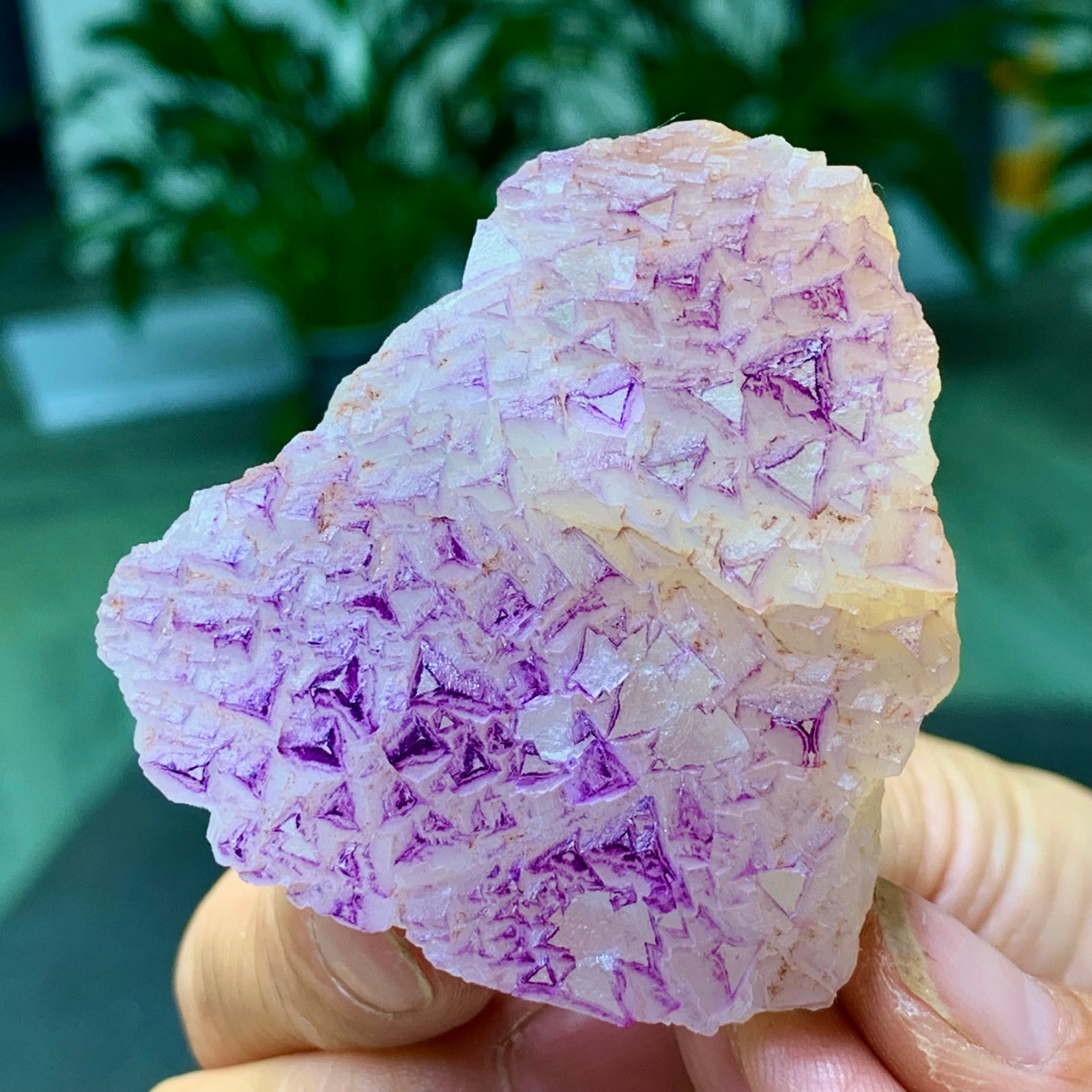 100G Natural fluorite purple edged cubic crystal mineral sample