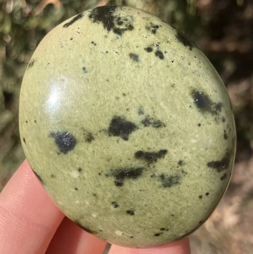 Handmade Polished SERPENTINE Healing Crystal Palm Stone Pebble ZIMBABWE 2.44″
