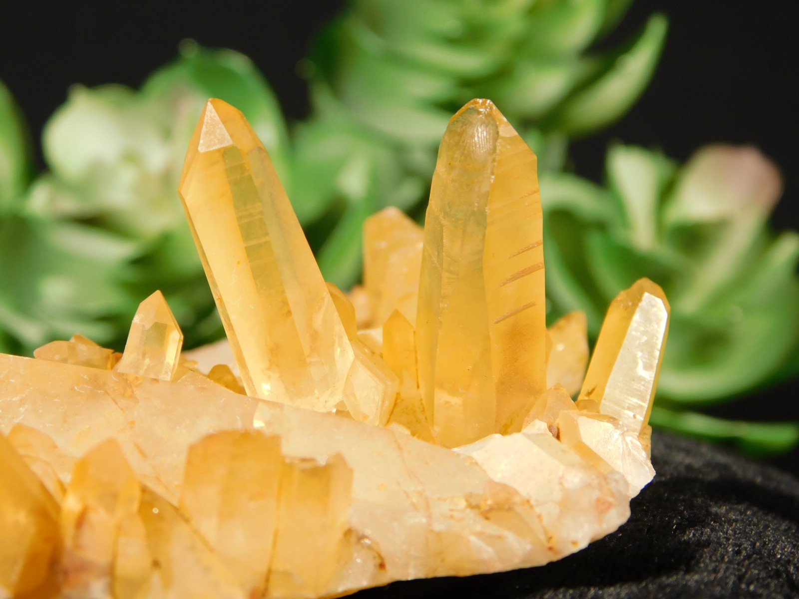 GOLDEN Healer Quartz Crystal Cluster 100% Natural Brazil 81.0gr