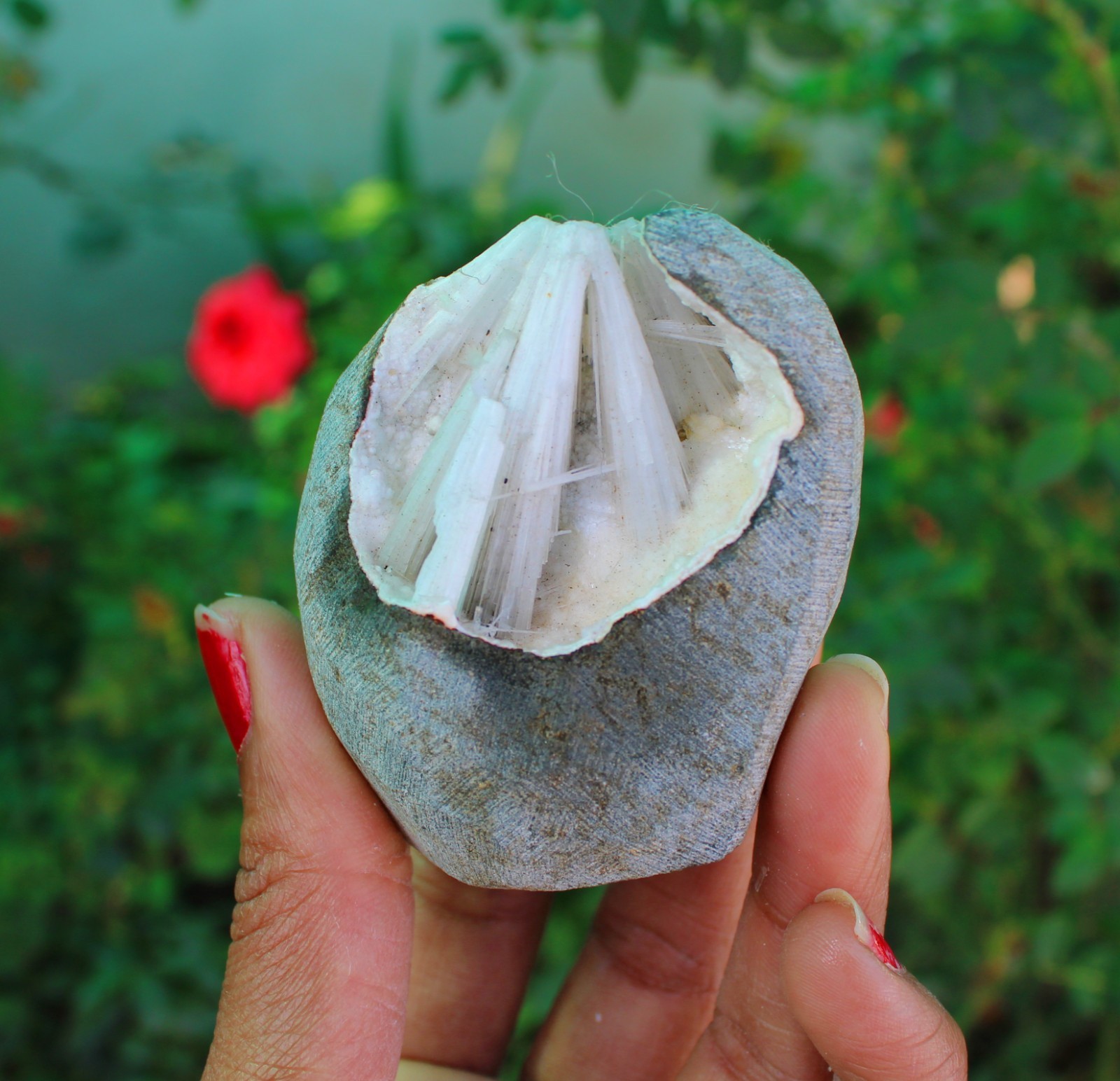 Scolecite In Geode Minerals Specimen#A9