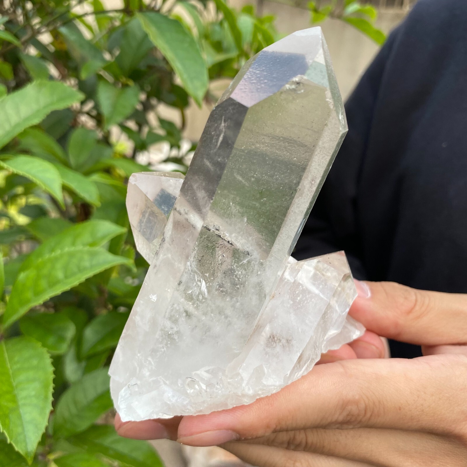 0.7lb Natural Clear White quart Crystal Cluster Raw Healing Specimen