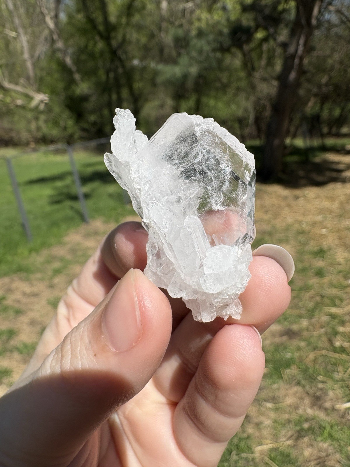 Faden Quartz Specimen
