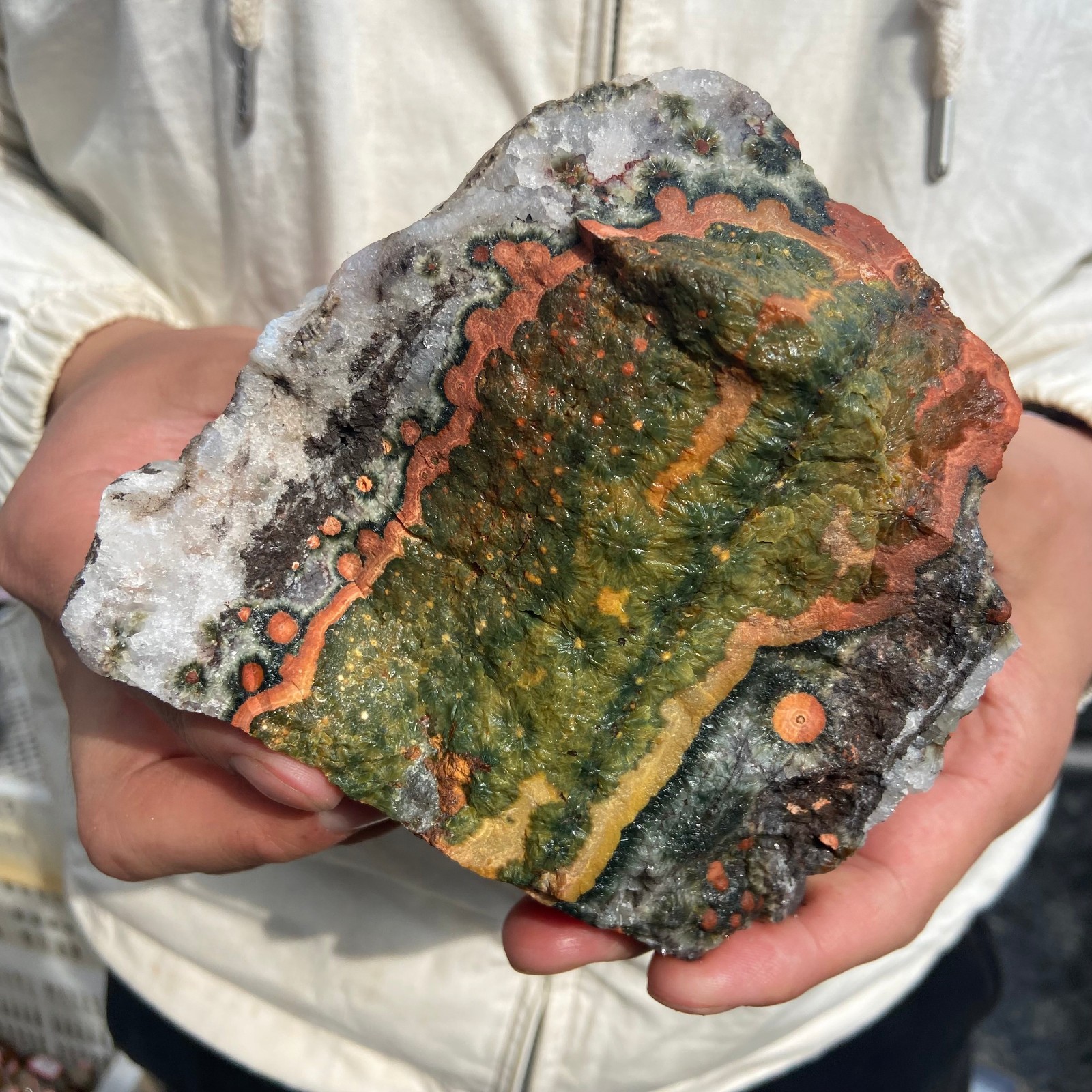 2.6lb Rare Natural colourful ocean jasper quartz crystal rough mineral specimen