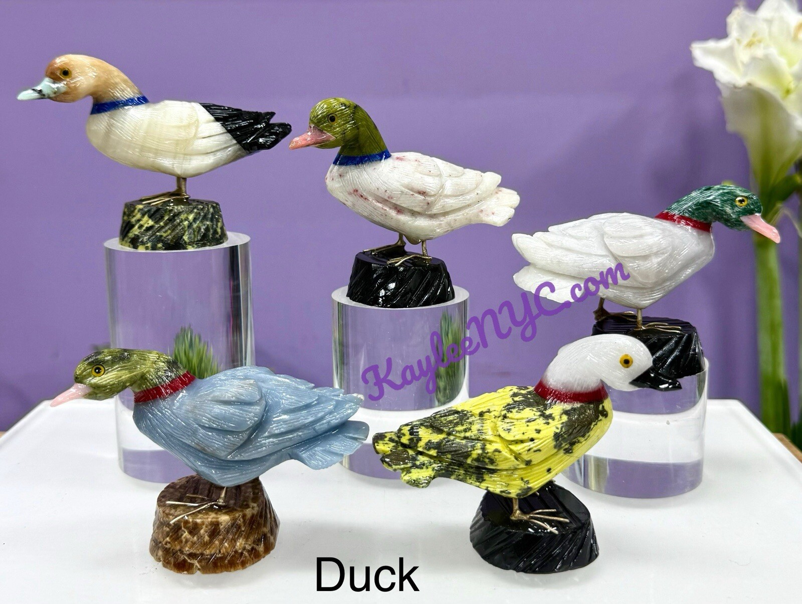 Wholesale Lot 5 PCs Mix Natural Crystals Birds Healing Energy