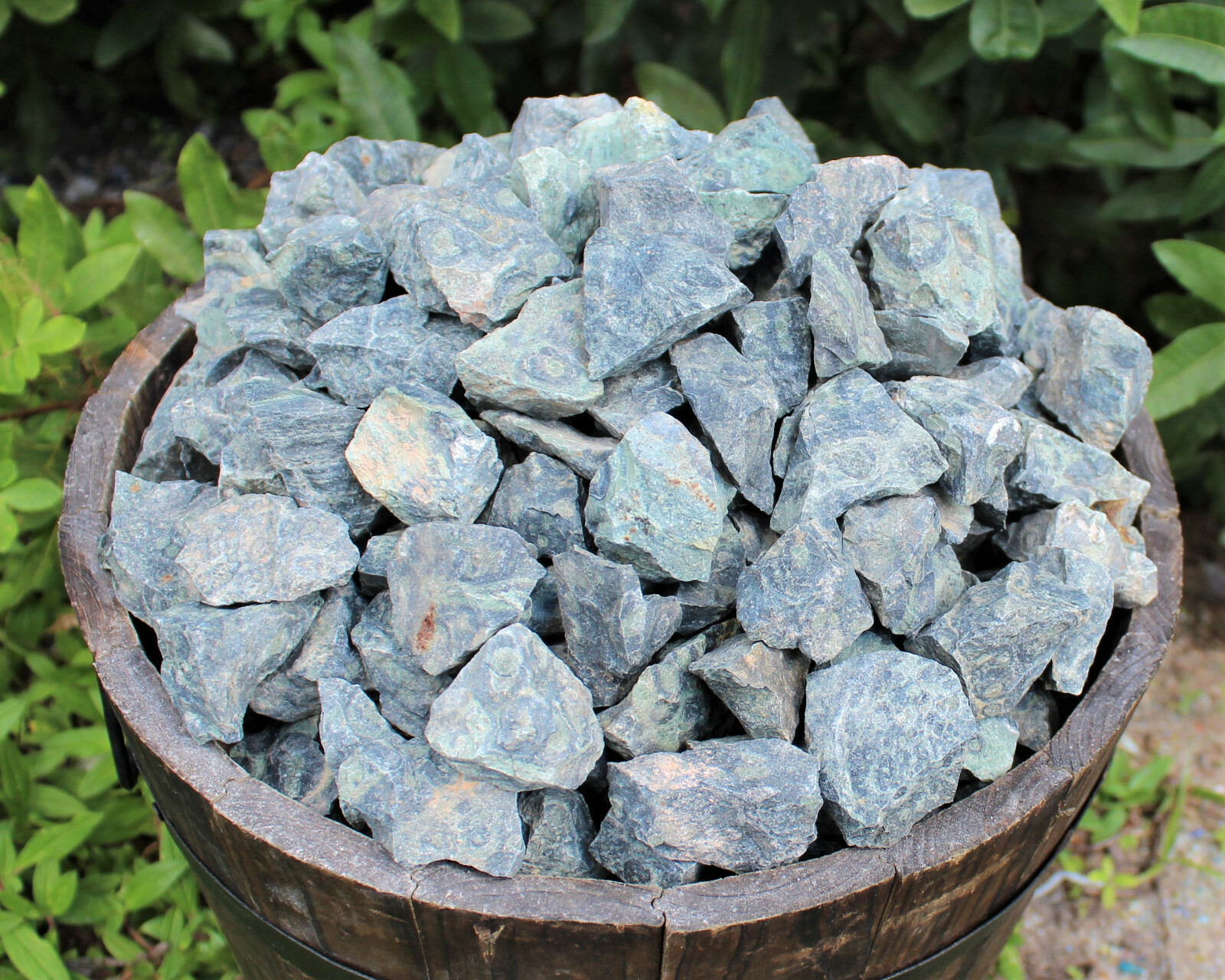Kambaba Jasper Rough Natural Stones Bulk Wholesale Lots (Raw Crocodile Jasper)