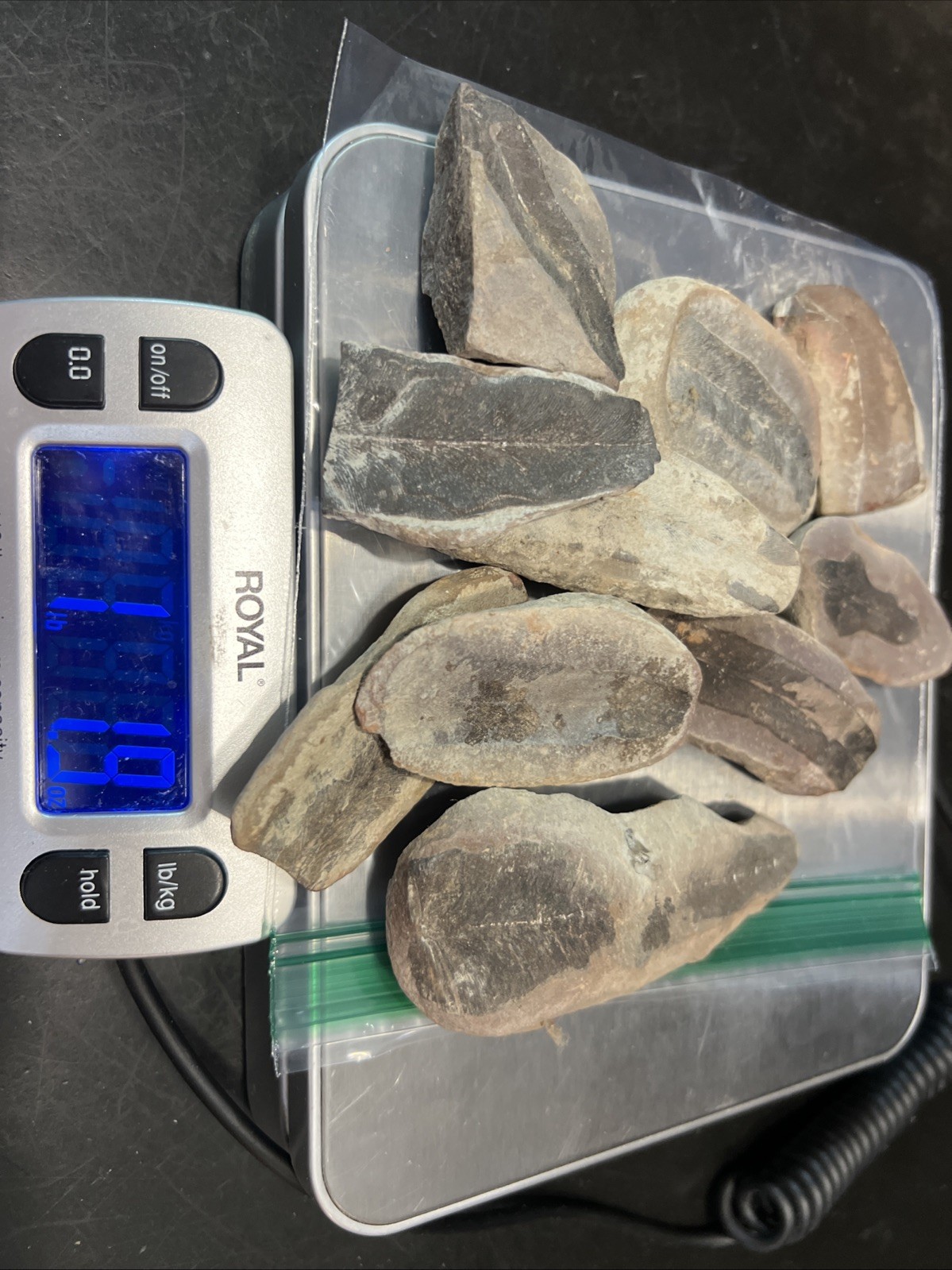 18 Ounces In Get N Leaf Fossils Various Sizes And Condition. Excellent For Study