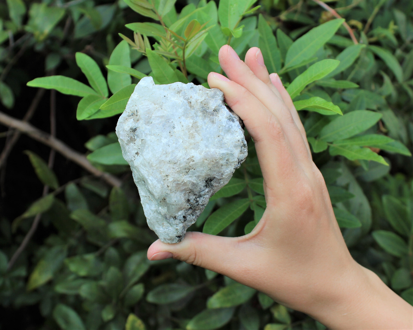 JUMBO Rainbow Moonstone Natural Raw Crystals – HUGE Rough Rainbow Moonstone