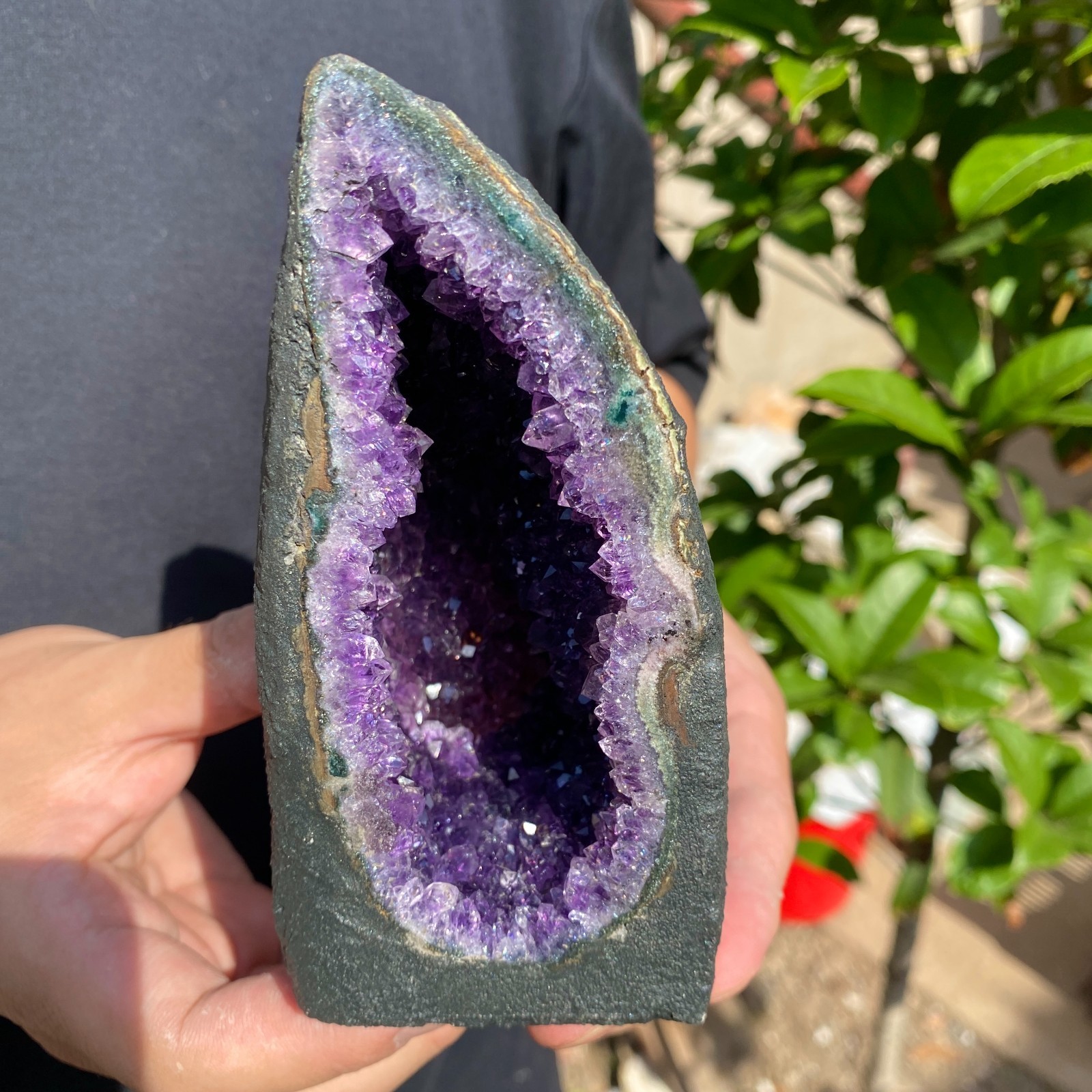 670G Natural Amethyst geode quartz cluster crystal specimen Healing