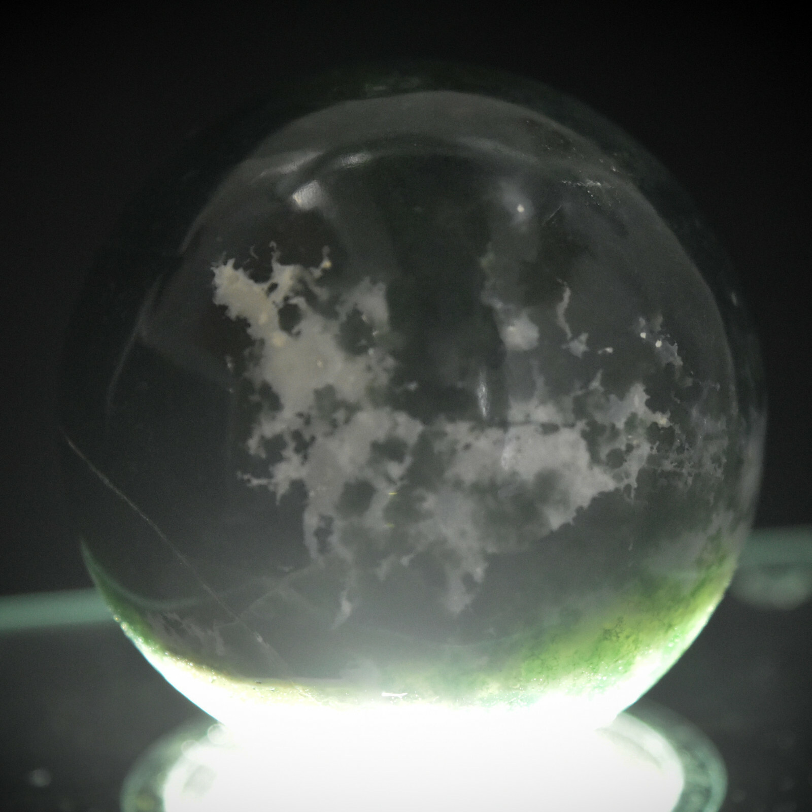 2.1″ White Green Blue Moss Agate Sphere Natural Chalcedony Mineral Stone – India