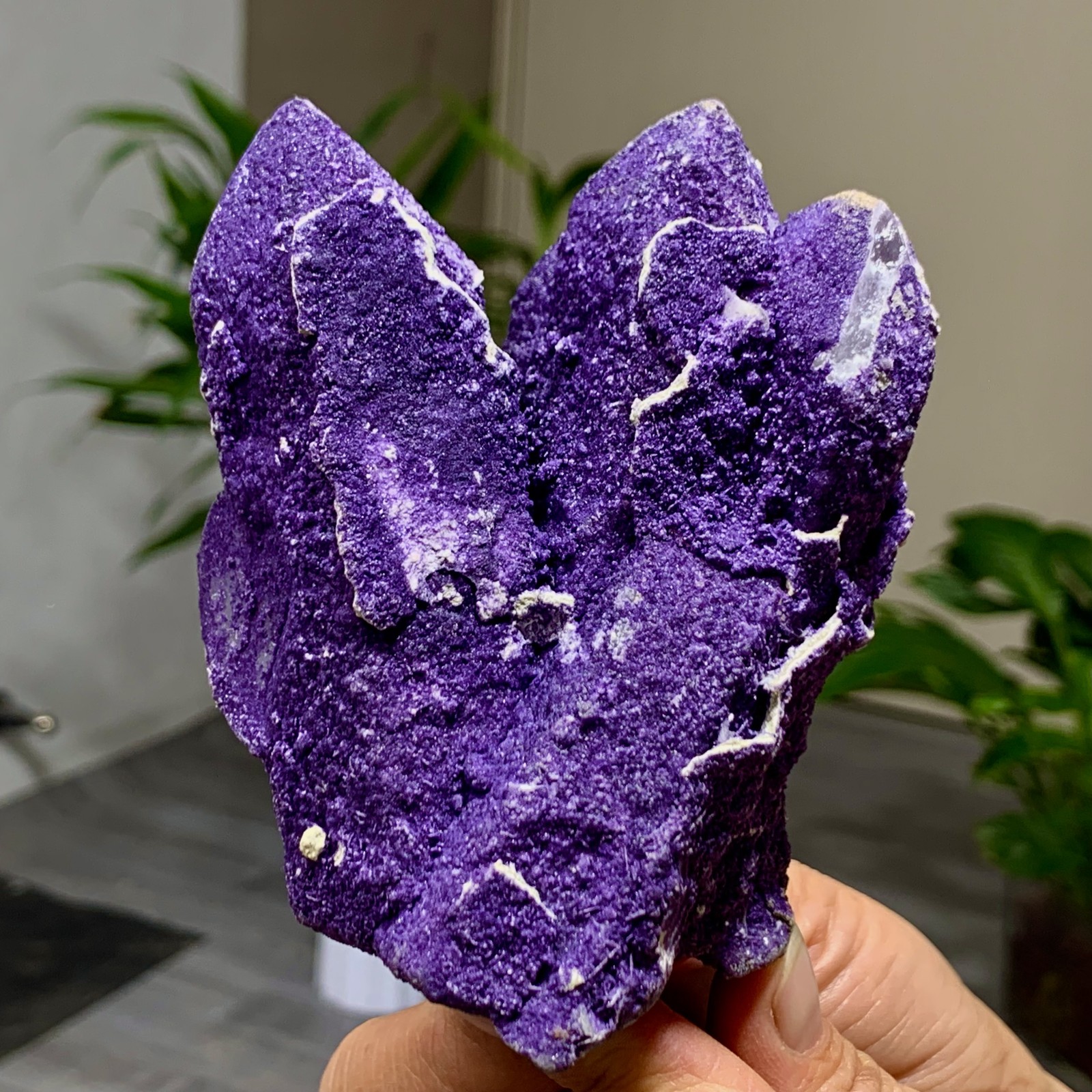449G Natural purple fluorite wrapped candle crystal cluster mineral crystals