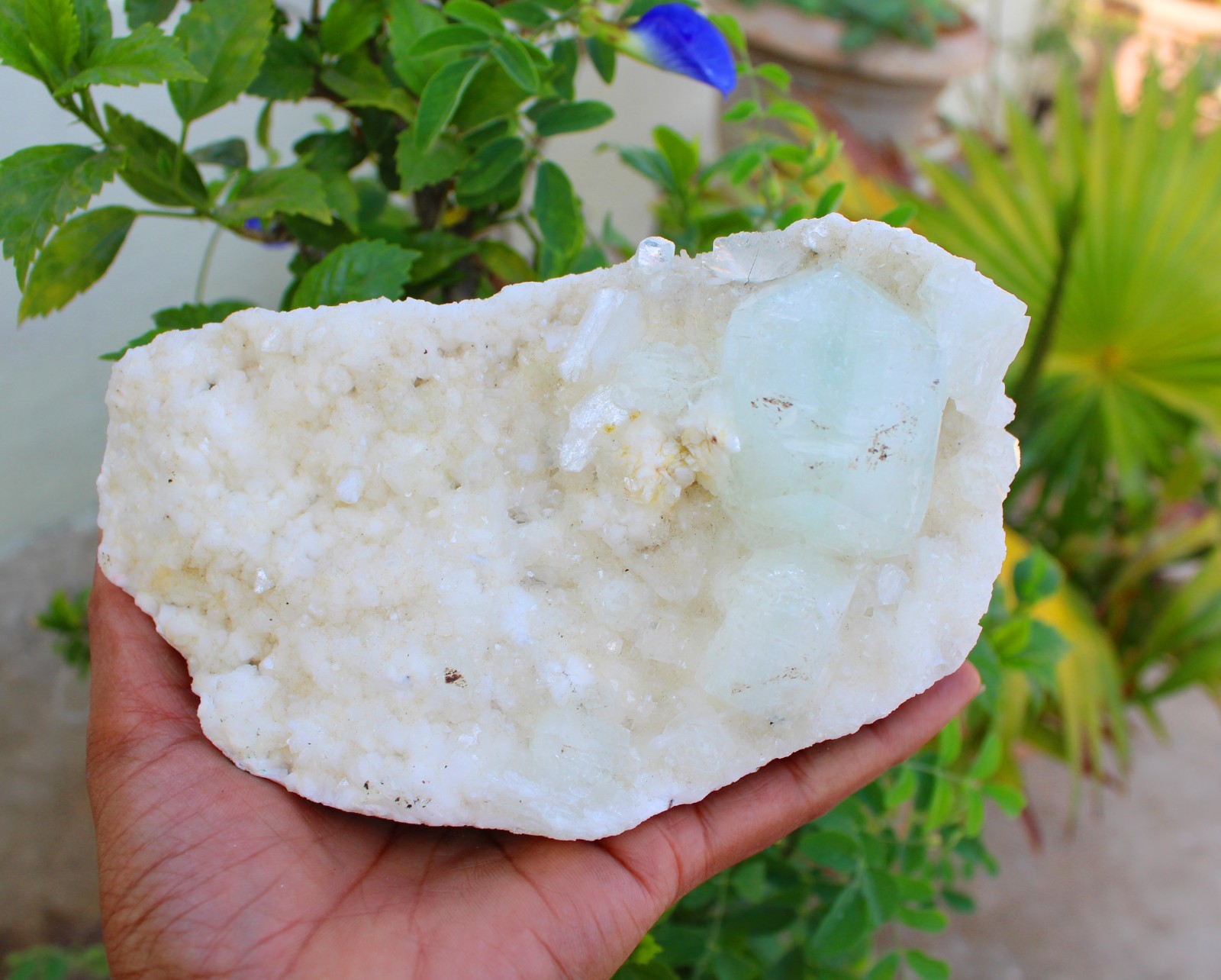 GREEN APOPHYLLITE CRYSTALS ON HEULANDITE MATRIX MINERALS SPECIMEN #A43