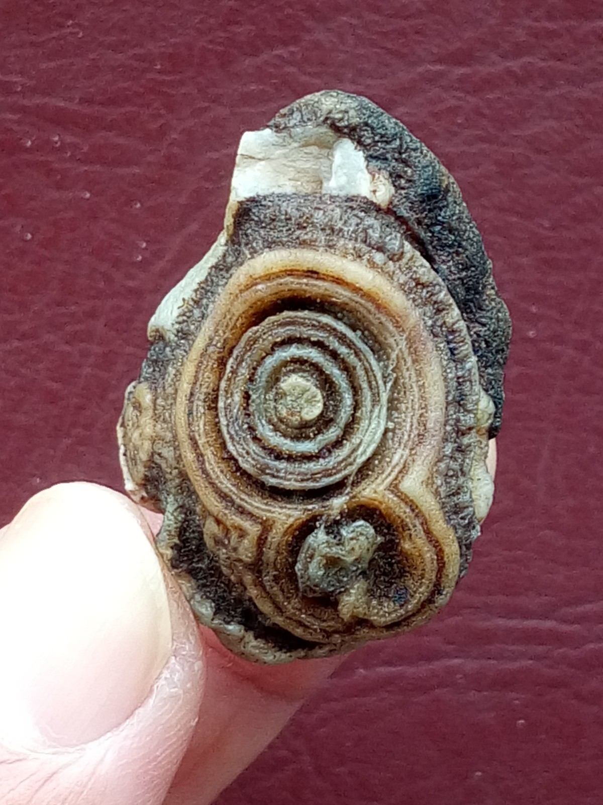 34mm Natural agate Gobi agate eye agate cute collection