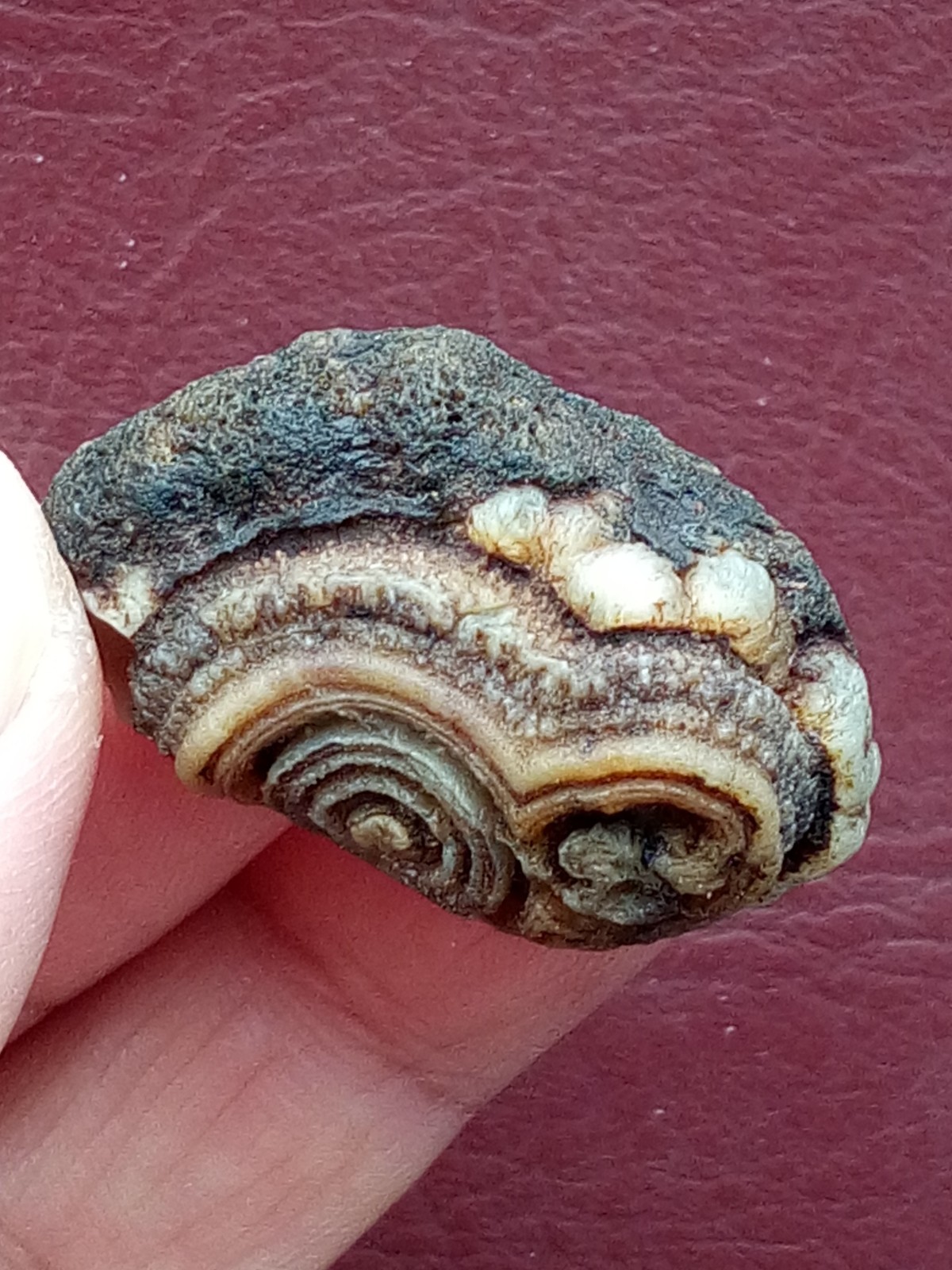 34mm Natural agate Gobi agate eye agate cute collection