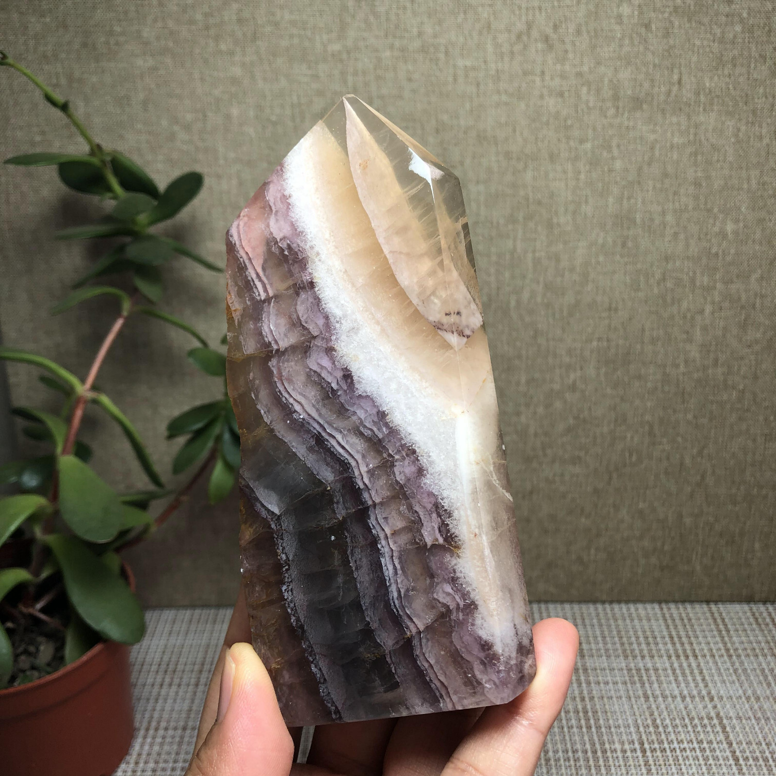 317g Natural candy Fluorite Polish/Rough wand Crystal free standing 120mm A2895