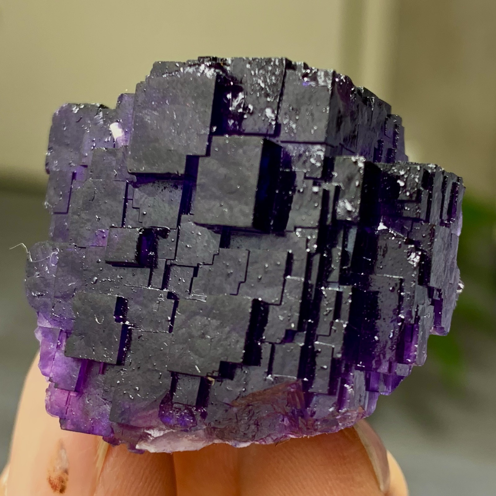 40G Natural purple framed cubic fluorite mineral specimen/Inner Mongolia