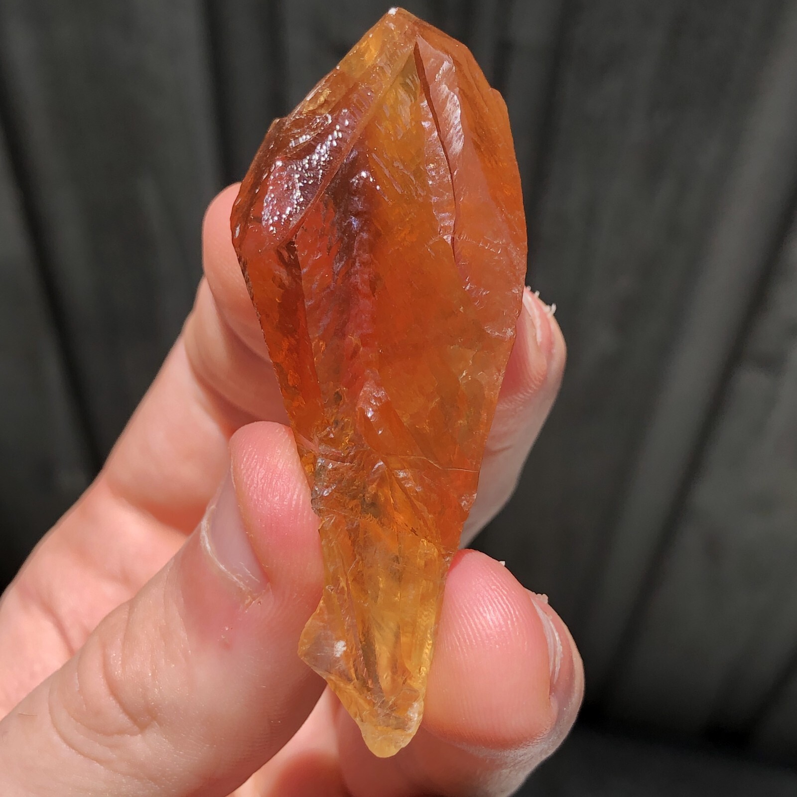 6.8cm Golden Calcite Crystal from Rancho de Ballestero, Baja California, Mexico