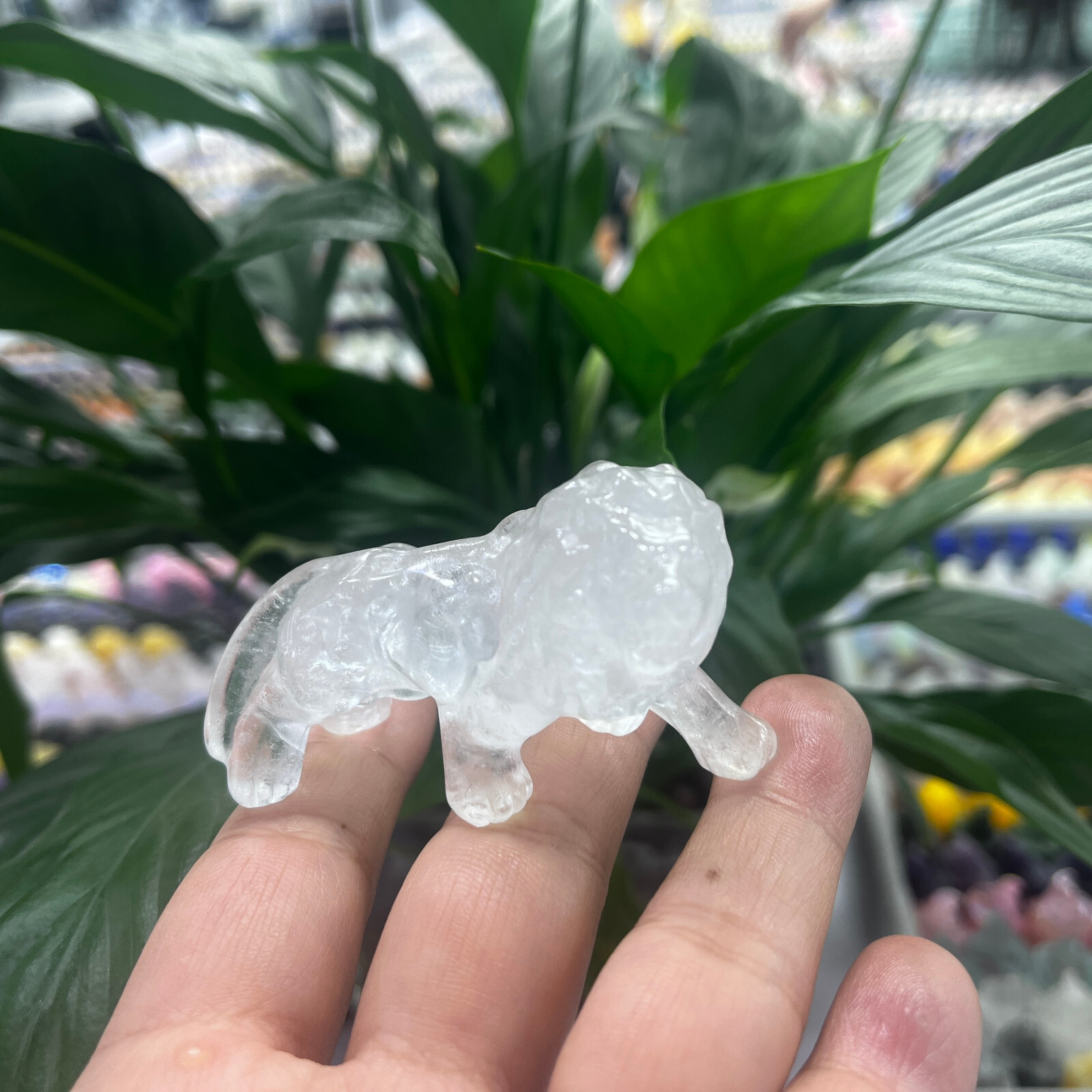 2″Natural clear Quartz Hand Carved Lion Skull Crystal Healing GEM gift decor 1pc