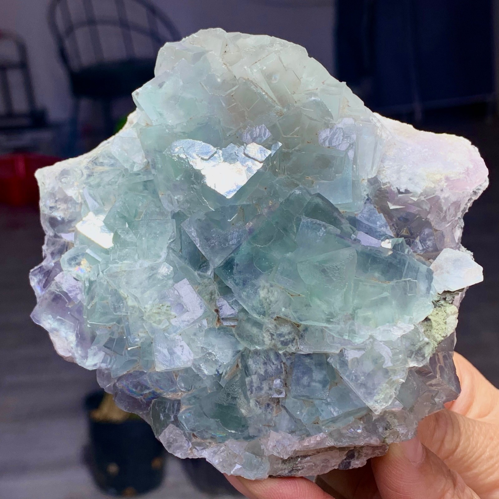 1.87LB Natural transparent green cubic fluorite mineral crystal sample/China