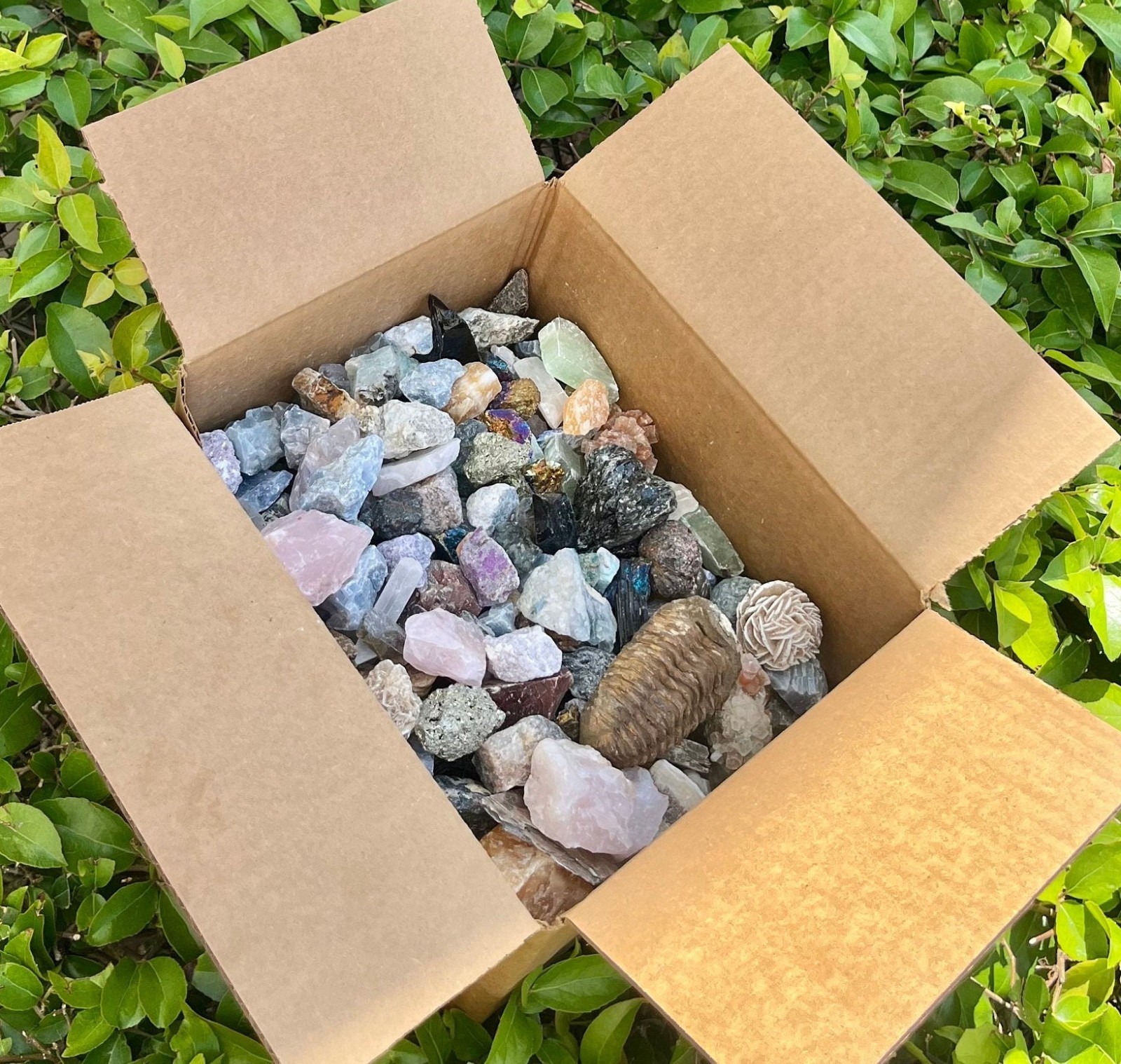 20 lbs Mixed Rough Crystals Bulk Lot A Grade Natural Assorted Stones