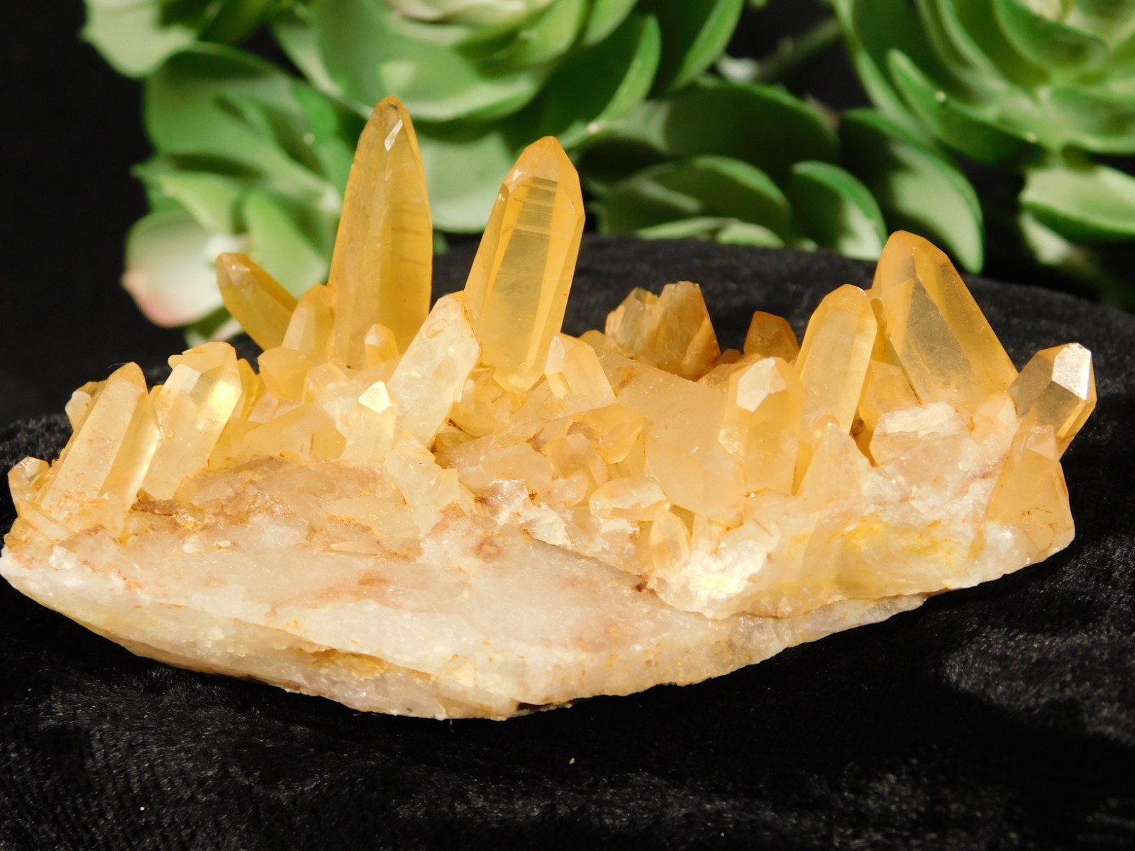 GOLDEN Healer Quartz Crystal Cluster 100% Natural Brazil 81.0gr