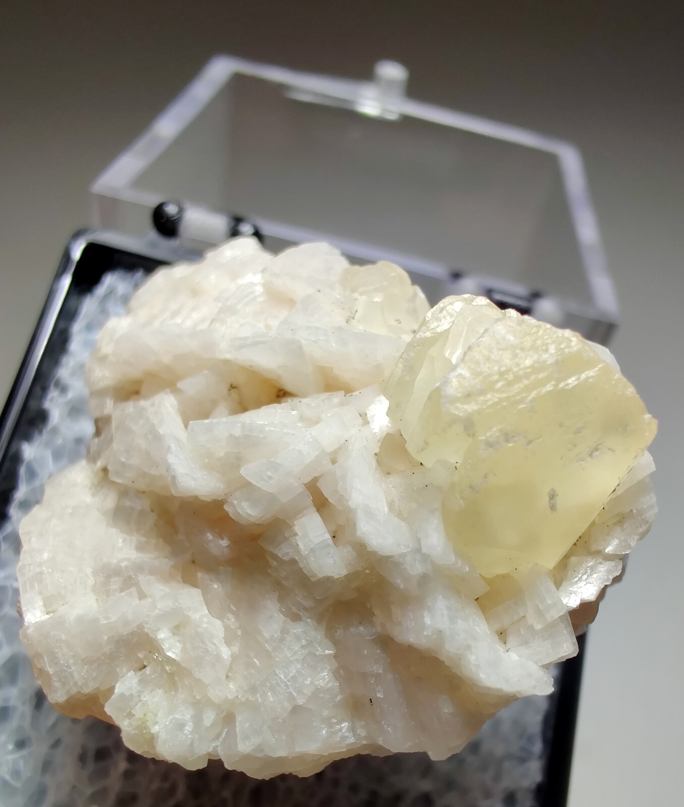Calcite crystal atop Dolomite. Corydon Quarry, Indiana. 3 cm.