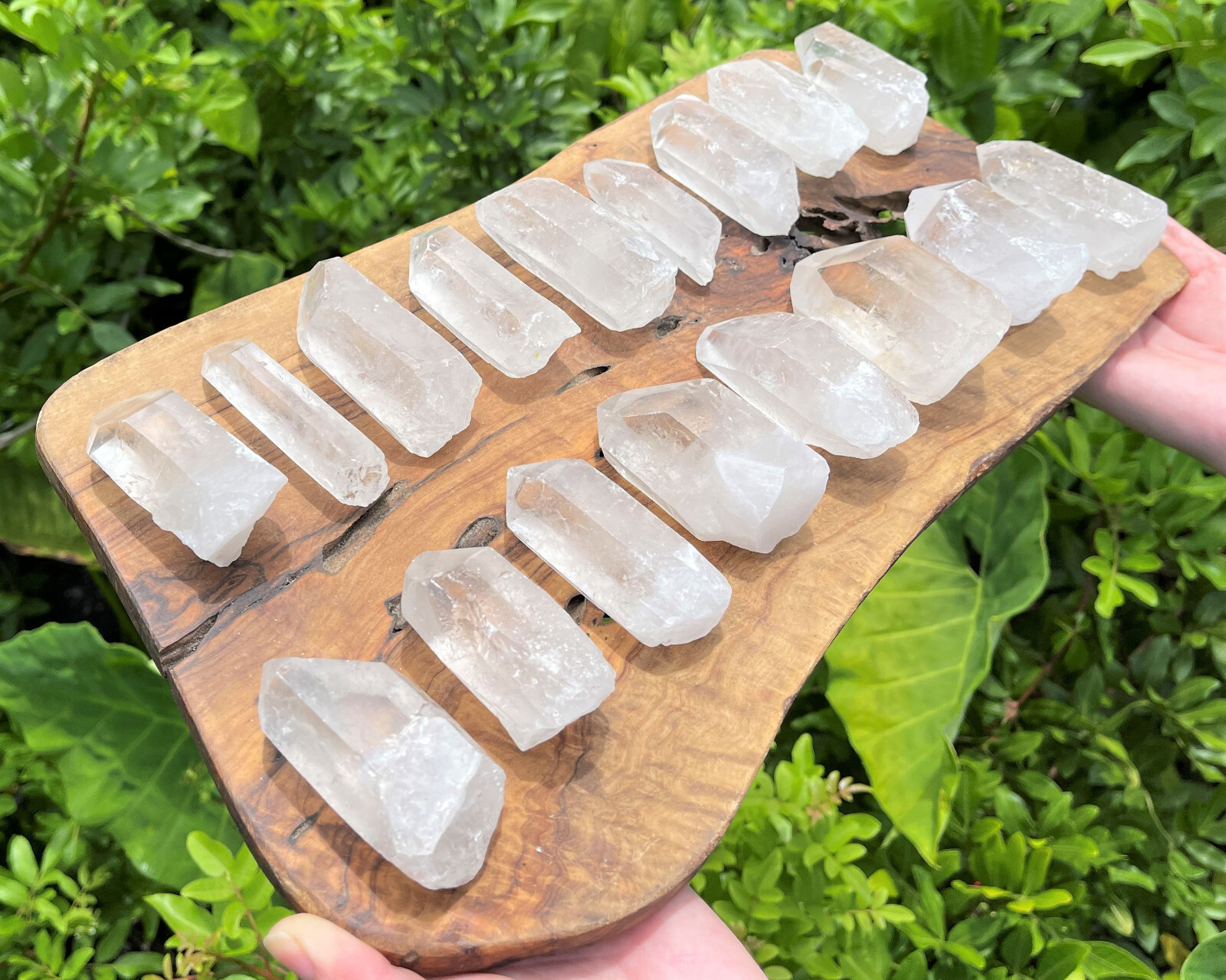 Clear Quartz Crystal Point (2″ – 3″) Natural Wand Specimen, Reiki Healing