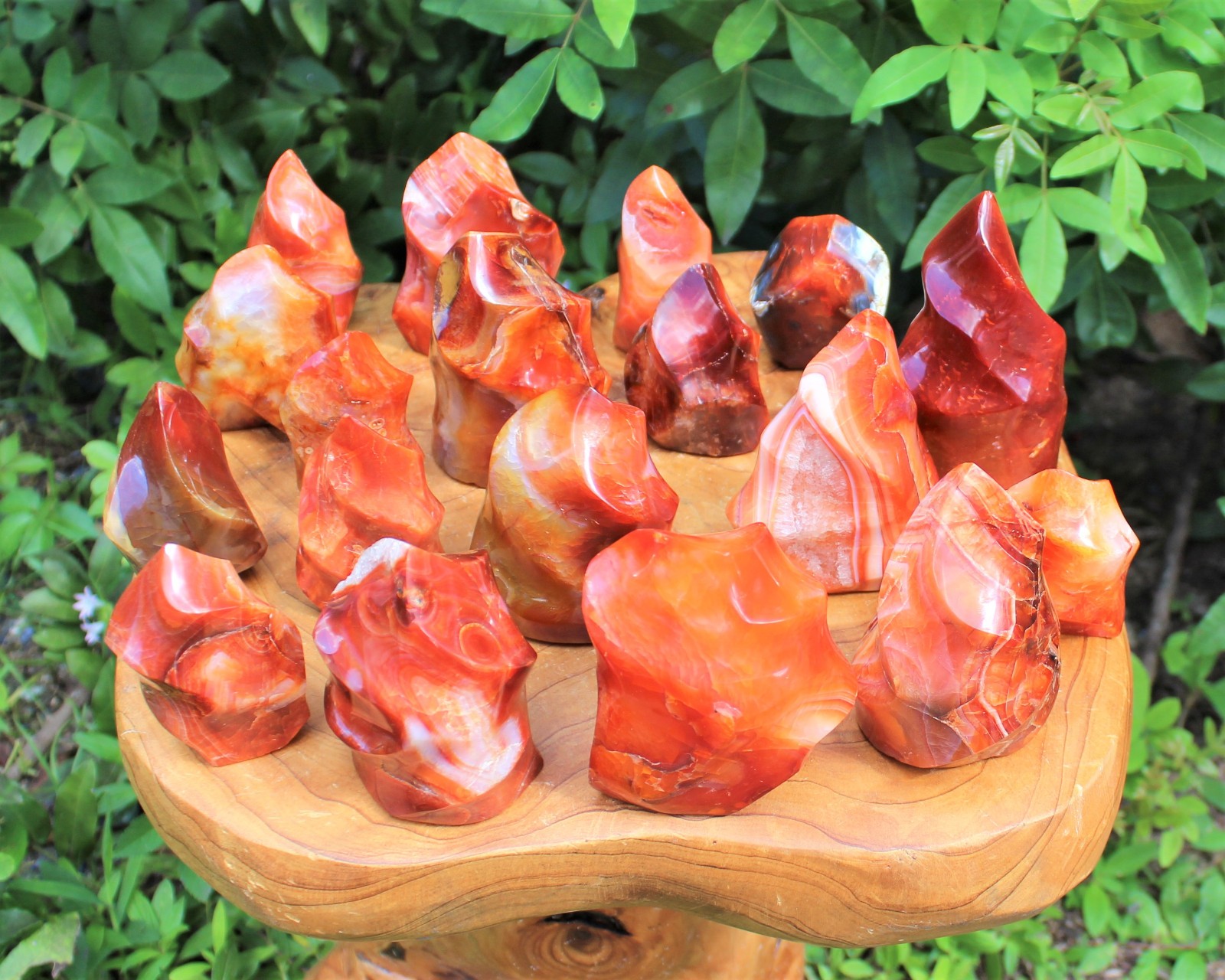 Carnelian Crystal Flame: Cut Base Free Standing, Display Specimen – Choose Size