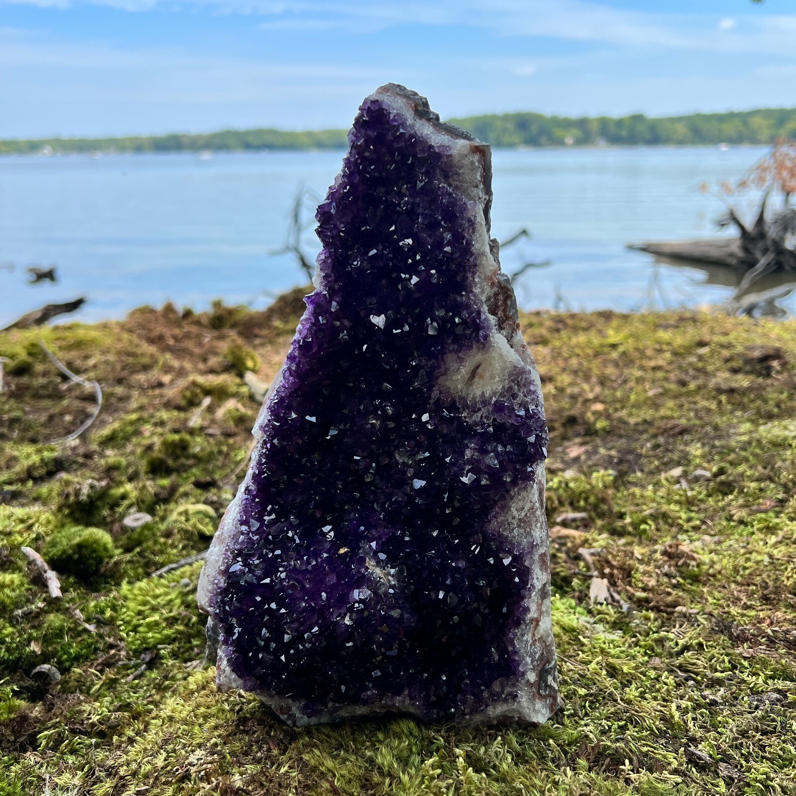 HUGE XXXL LARGE Amethyst Druze Crystal Cluster With Cut Base Specimen ~ 4-6 Lbs