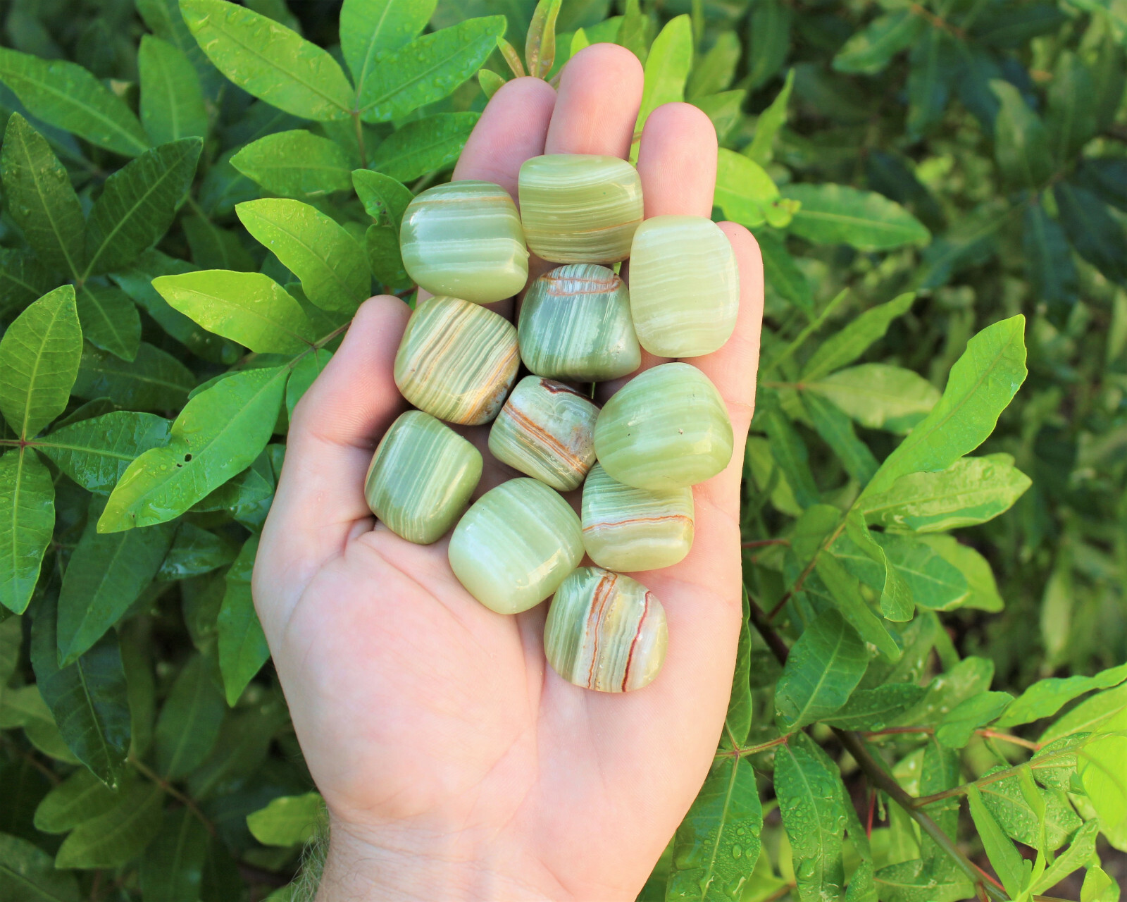 Green Onyx Tumbled Stones: Choose How Many Pieces (A Grade Green Onyx Crystals)