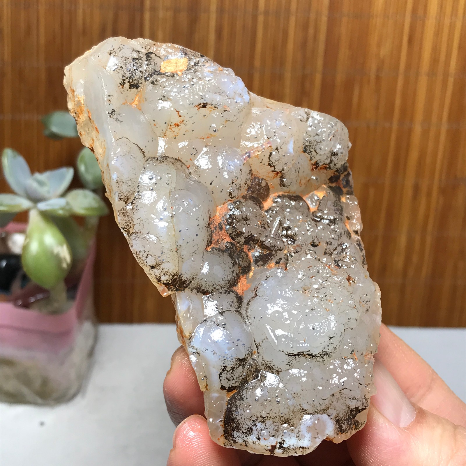 Natural Bonsai Suiseki Gobi Agate Eyes Stone-Stunning original View 146g A2830