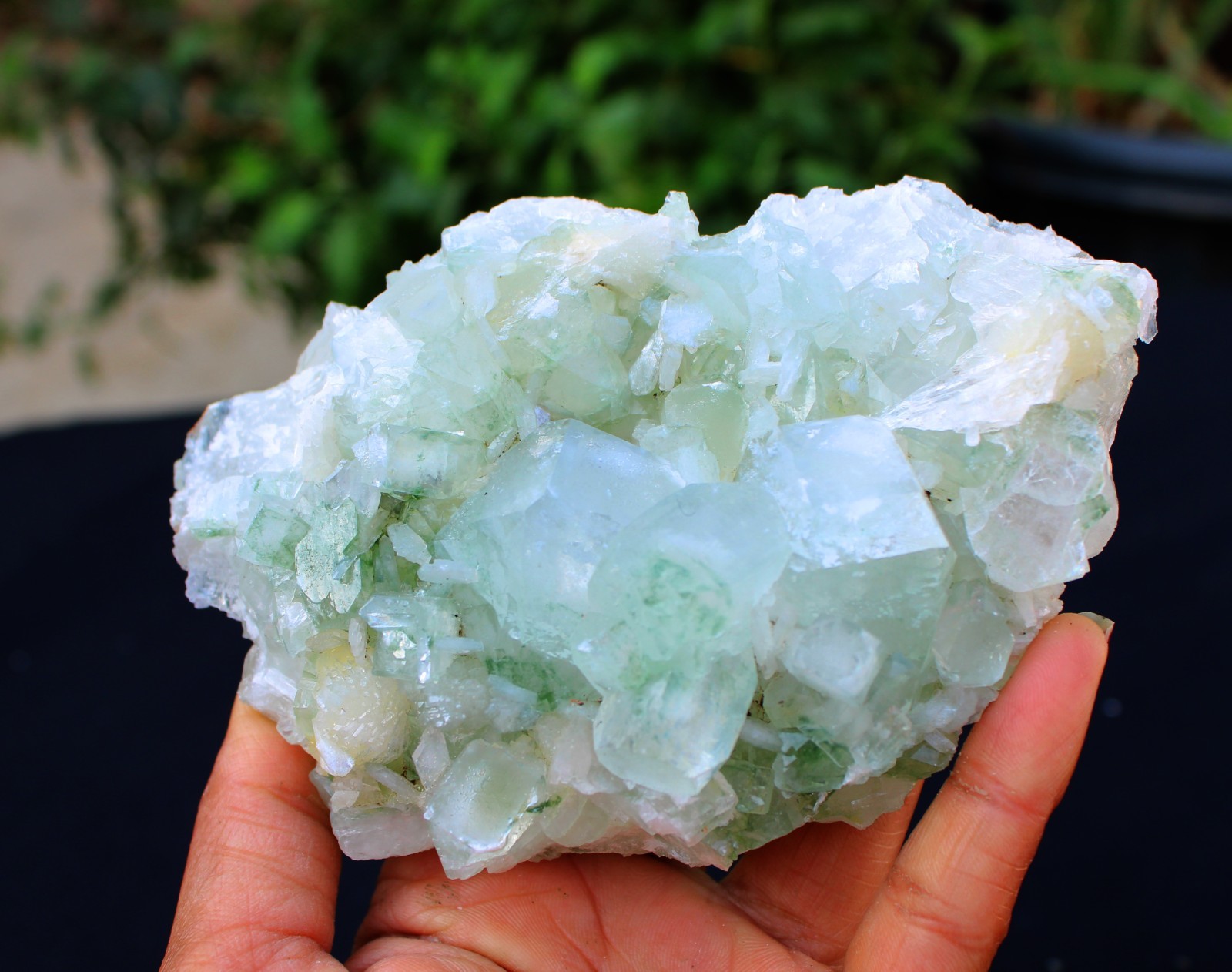 Green Apophyllite Crystals w/ Stilbite Formation Minerals Specimen