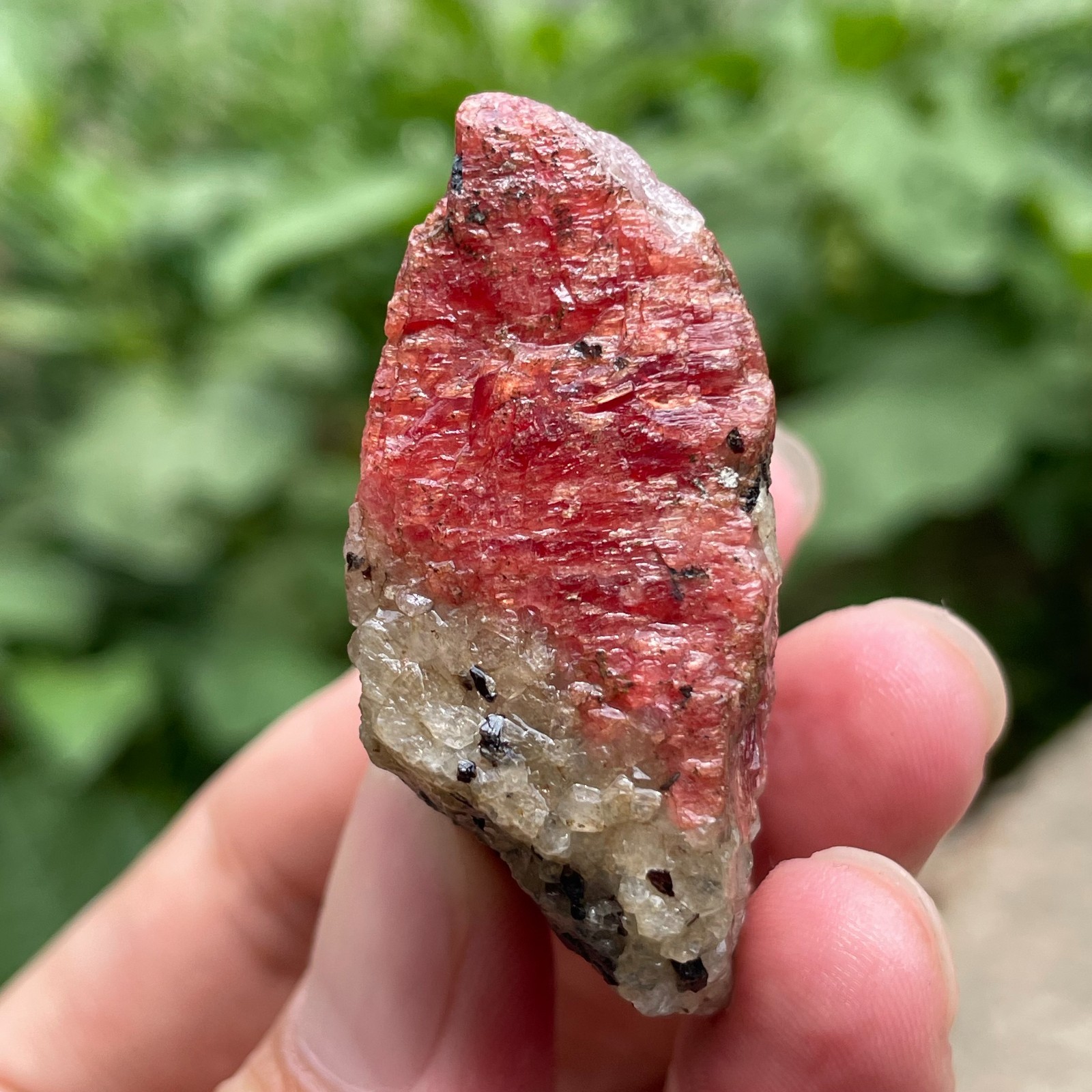 68g Small Raw Ore Red Black Rhodonite Quartz Gemstone Mineral Specimen
