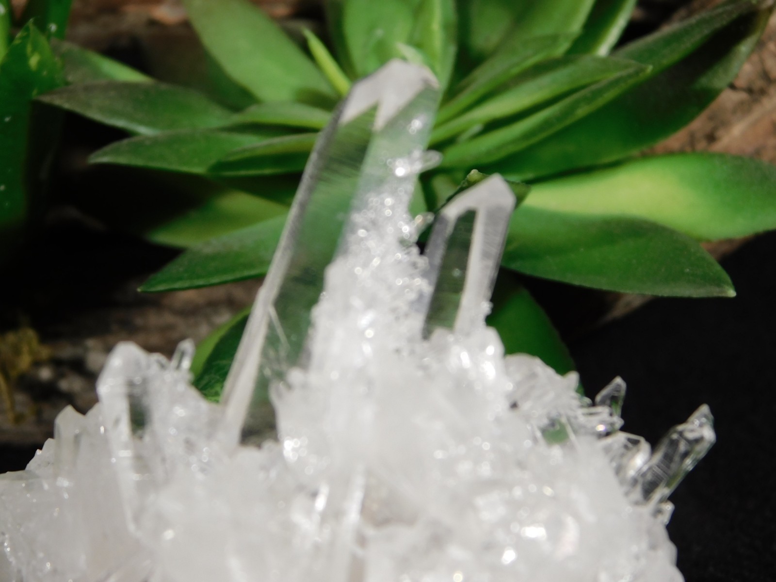 SUPER! TRANSLUCENT Quartz Crystal Cluster Collier Creek ARKANSAS 75.2gr