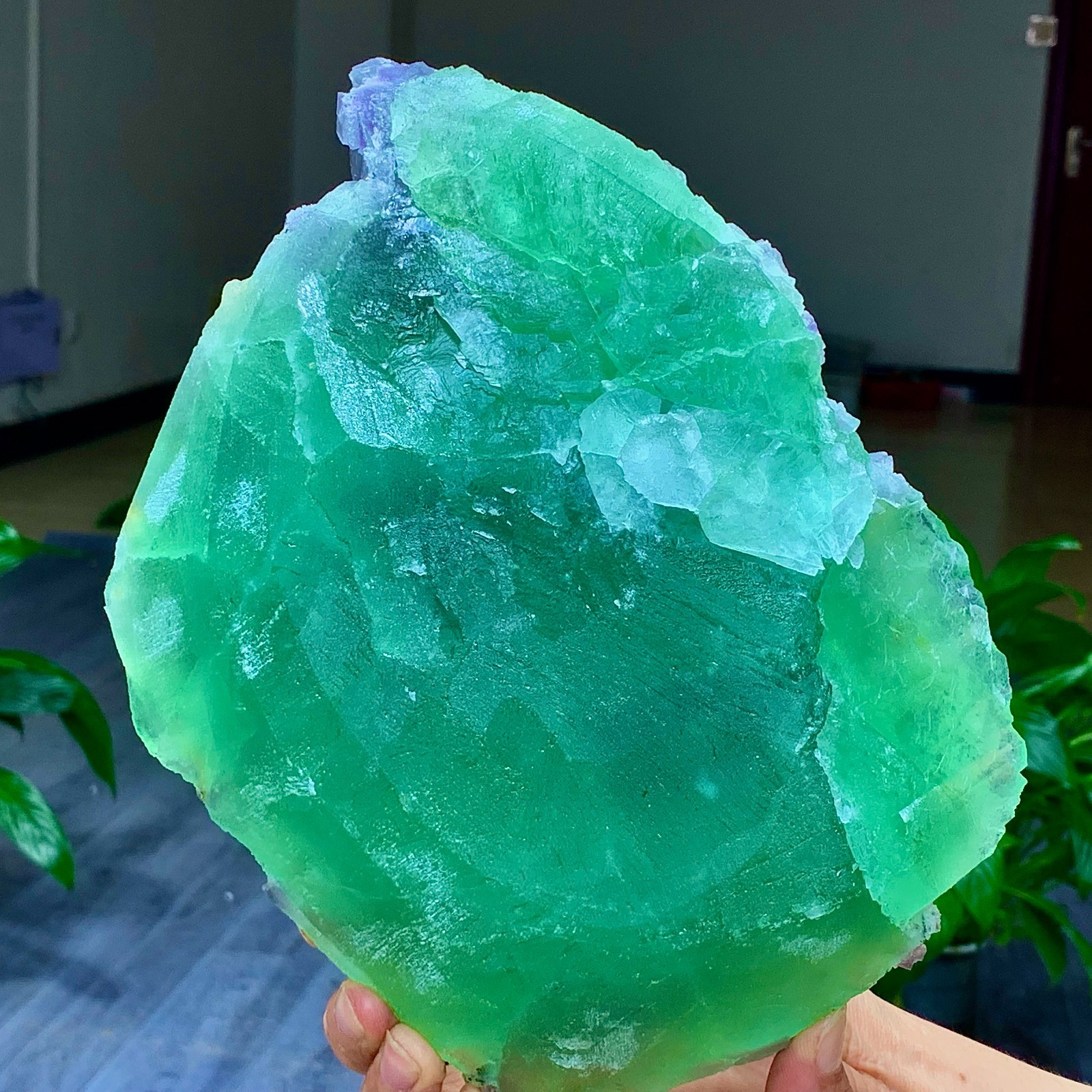 7.2LB Rare transparent green purple cubic Zhejiang fluorite mineral sample