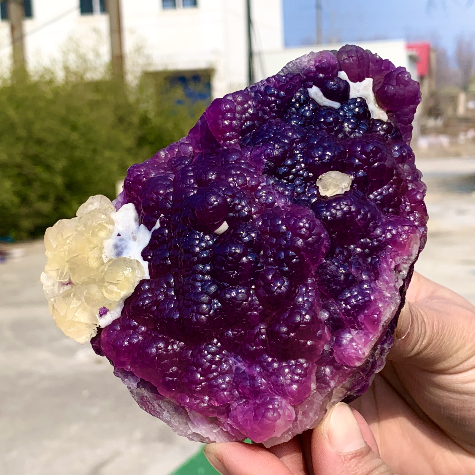 2.40LB Complete rare and gorgeous purple fluorite from Inner Mongolia, China