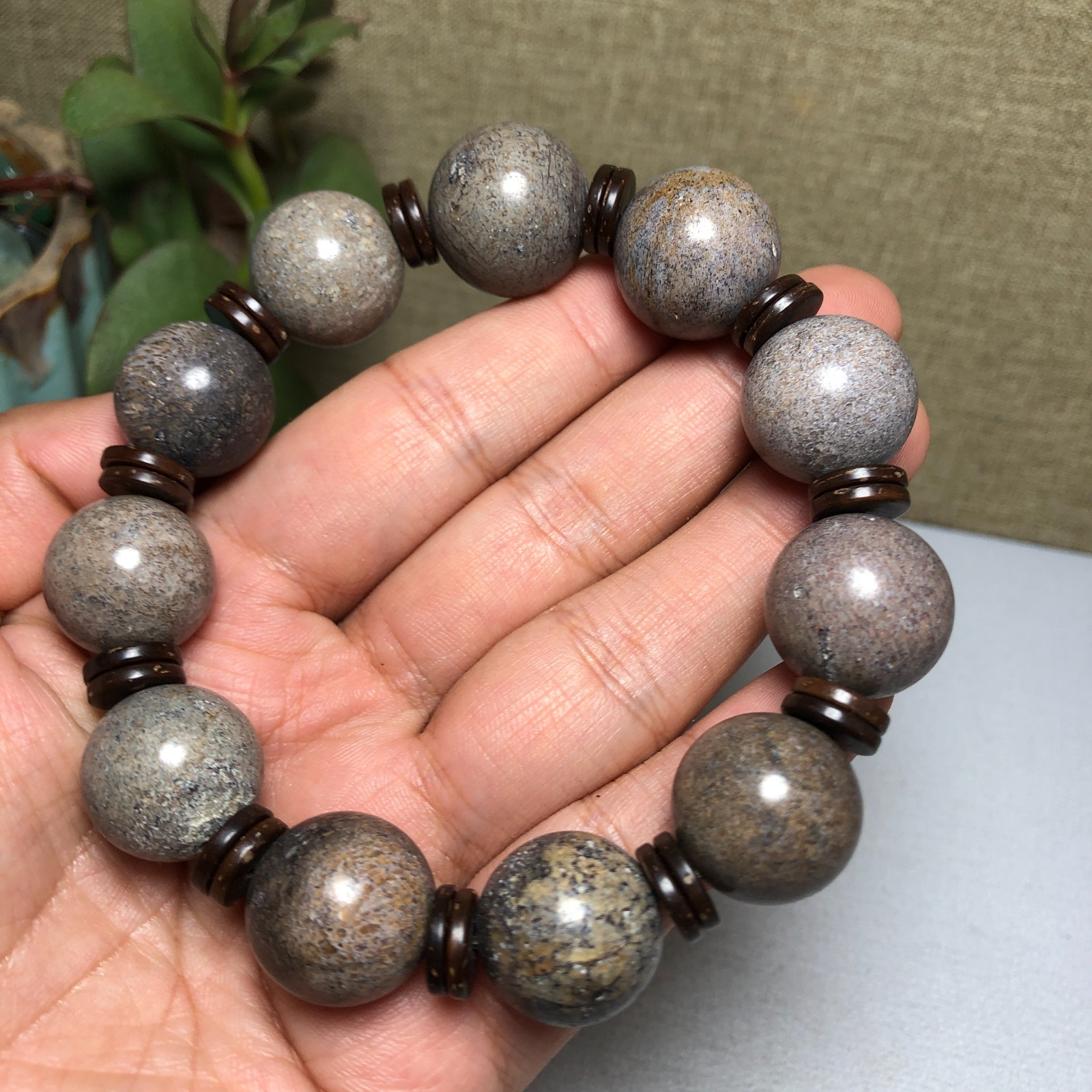 Top! Natural polished dinosaur bone bracelets specimen Madagascar 18mm A1005