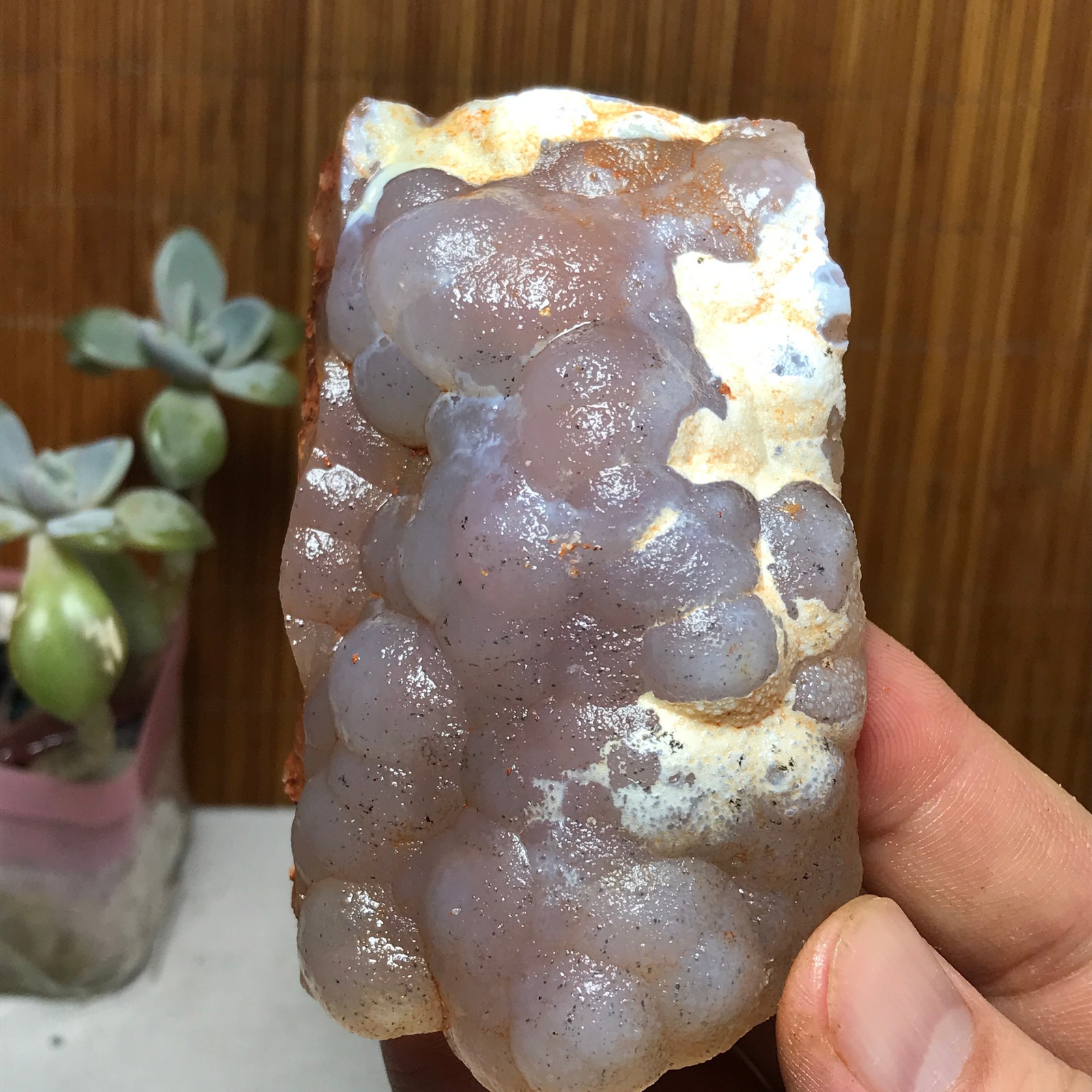 Natural Bonsai Suiseki Gobi Agate Eyes Stone-Stunning original View 146g A2829