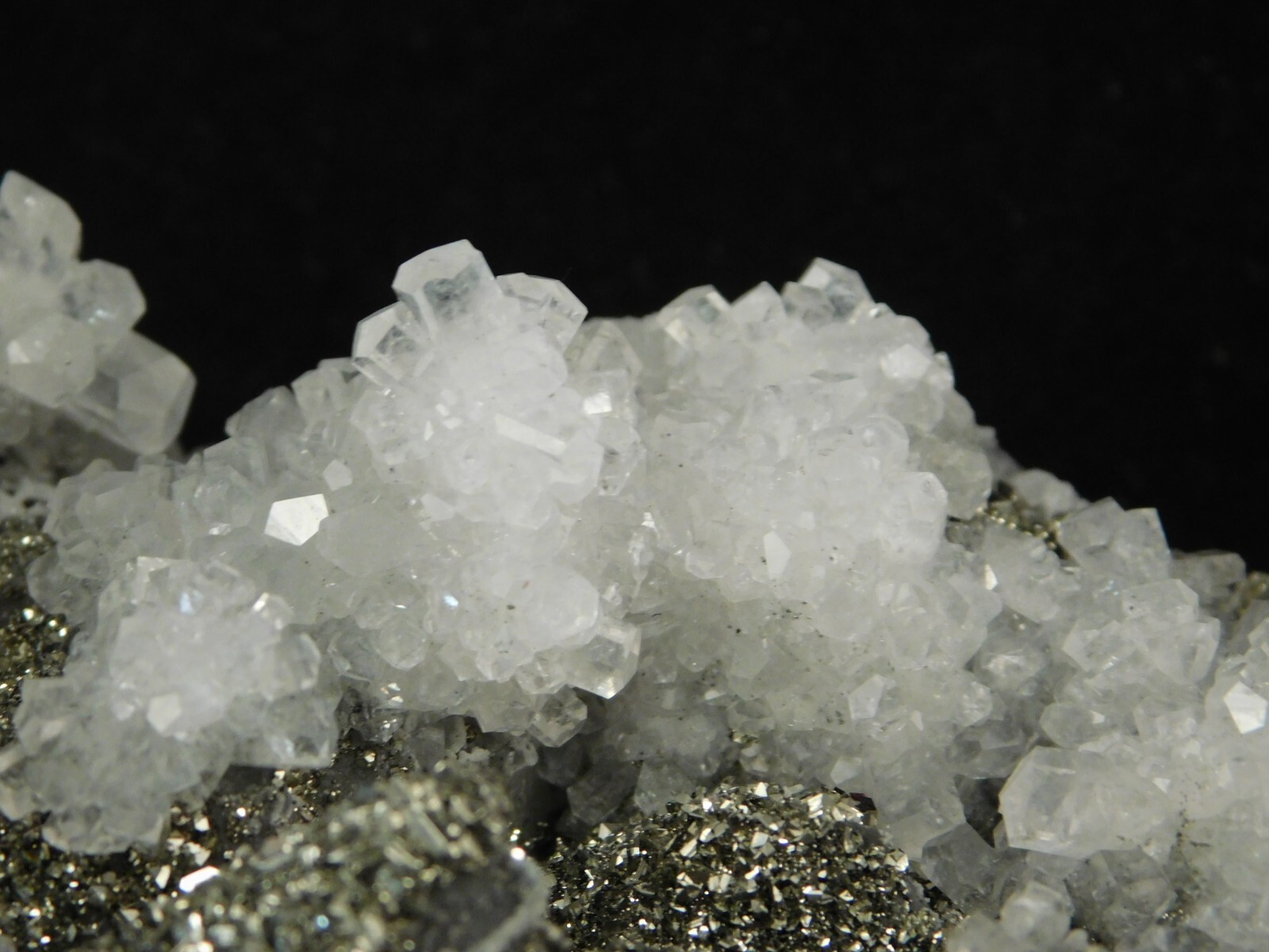 BIG! Pyrite Crystal Cluster on DOGTOOTH Calcite Crystals! From Mexico 1202gr