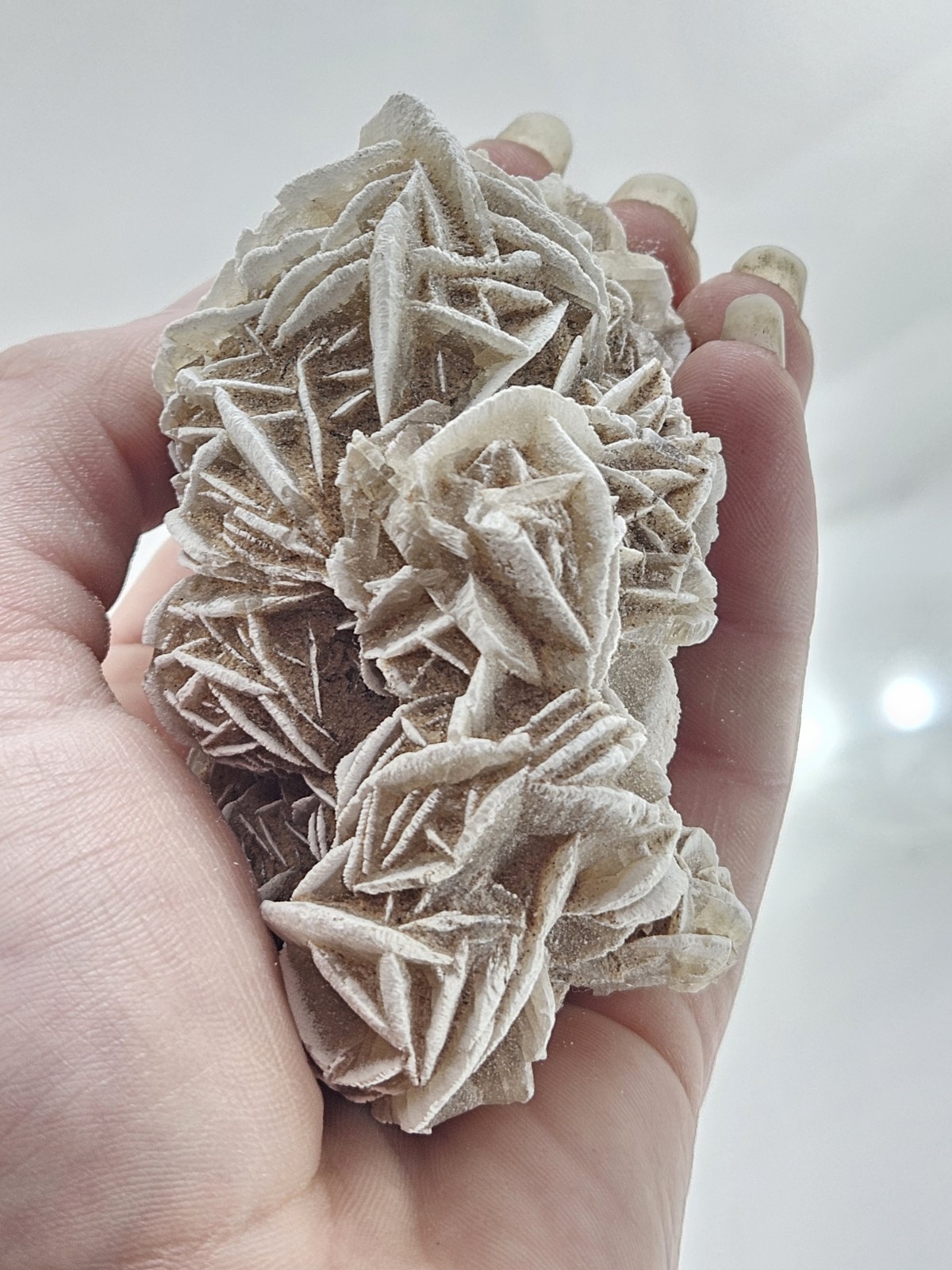 Natural Desert Rose Selenite Cluster – Mexico – Bladed Gypsum Crystal Specimen