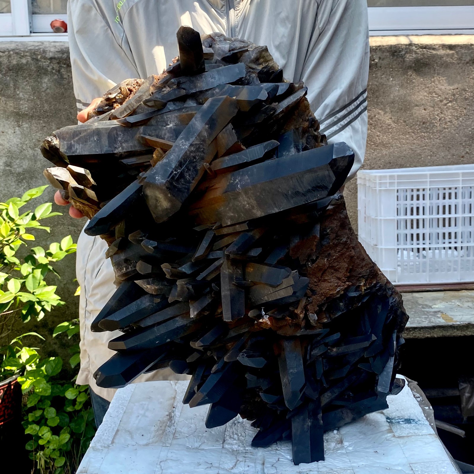 57LB Tea black Crystal quartz Cluster Mineral Specimen Healing reiki