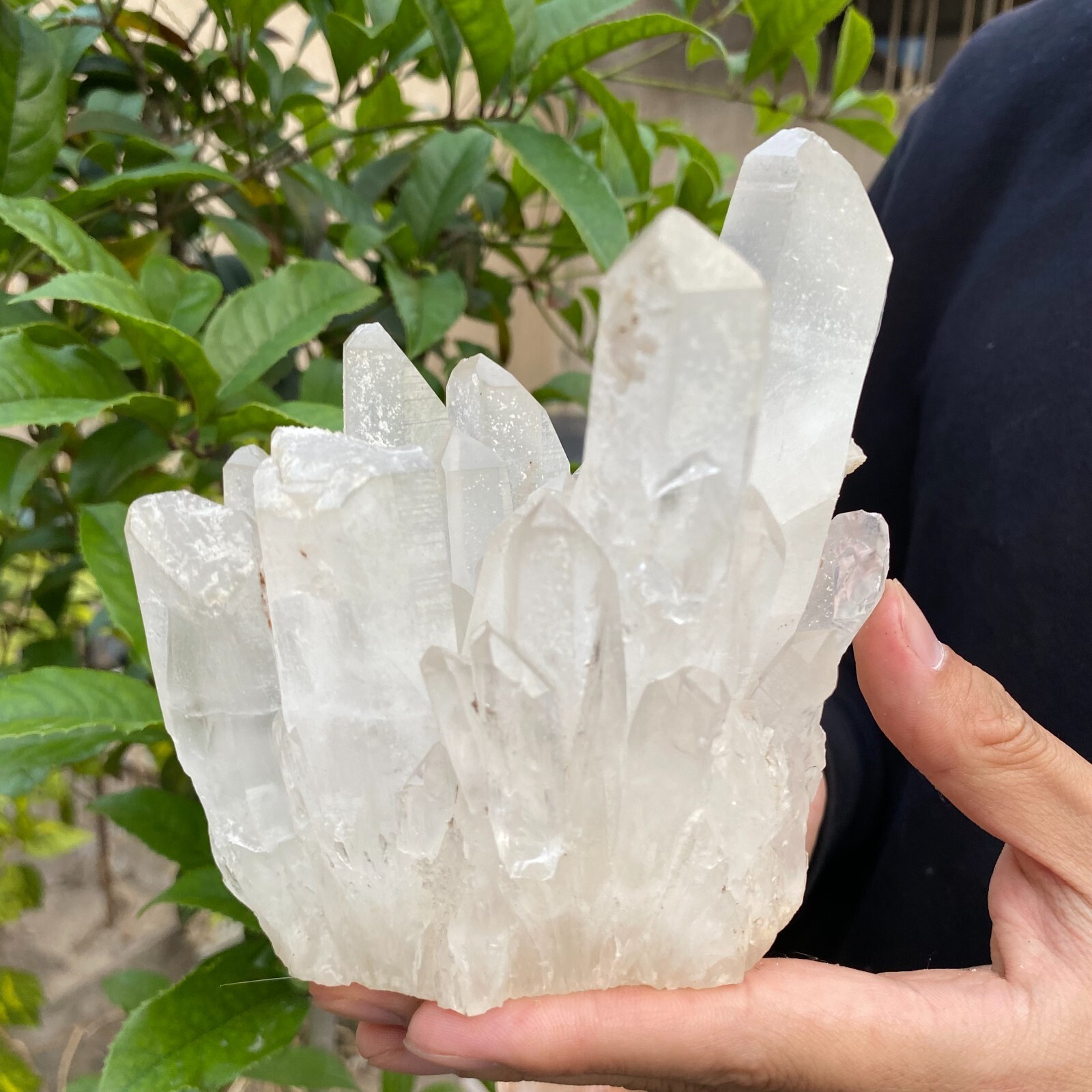 2.4lb Natural Clear White quart Crystal Cluster Raw Healing Specimen