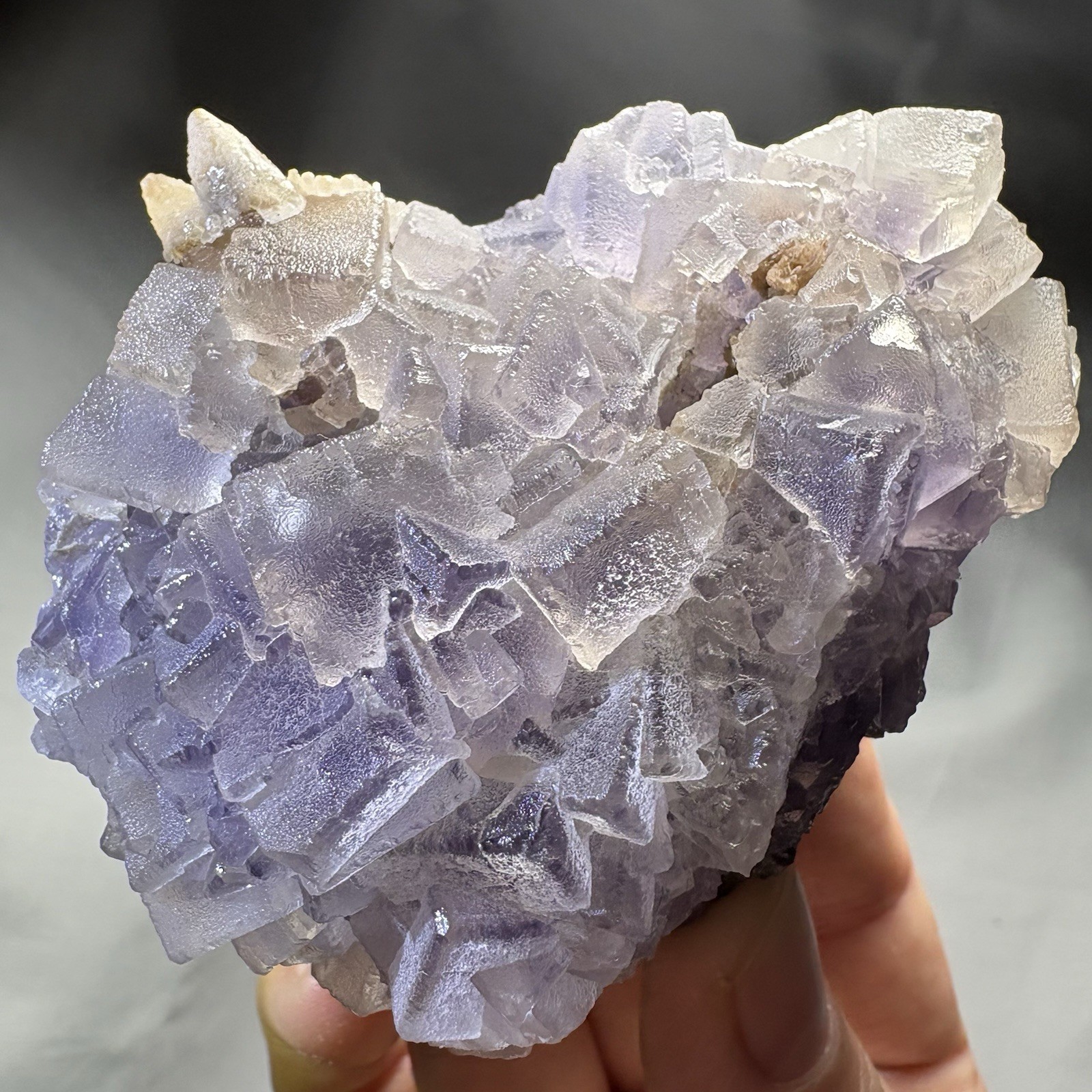 Natural Phantom Fluorite w/ Calcite Cluster Crystal Raw Mineral Dual Color UV
